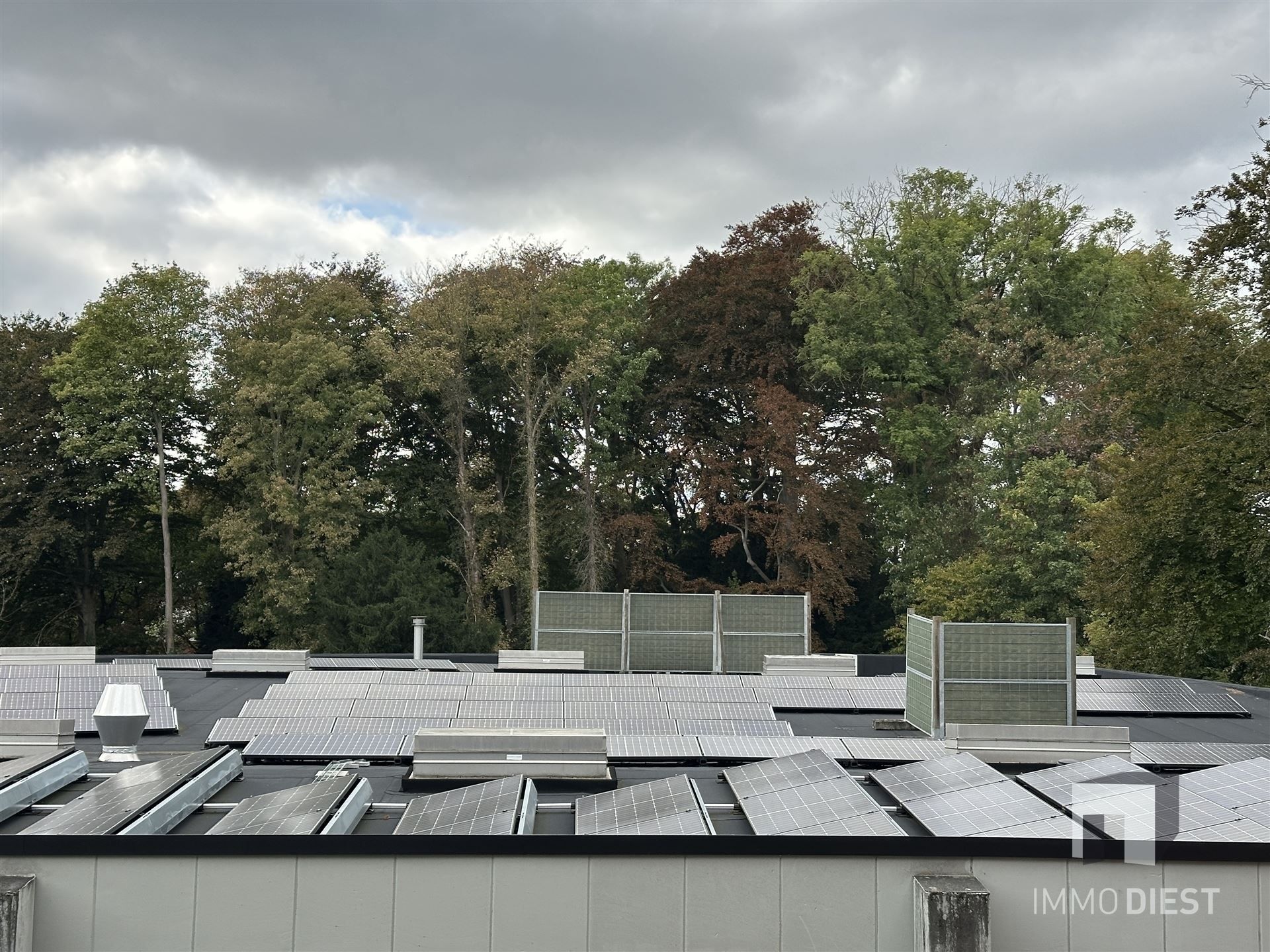 Villa appartement met zicht op de Ezeldijkmolen - 3 slpks, terras en parking foto 34