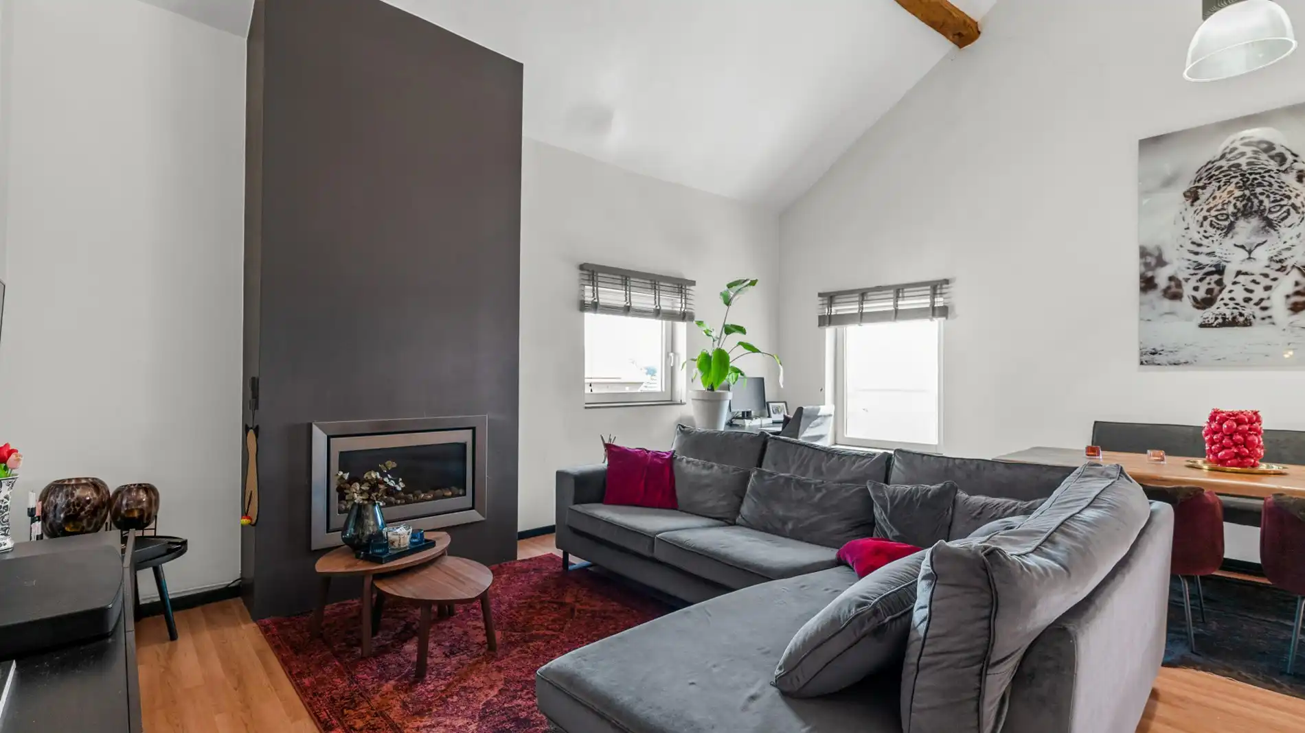 Betaalbare loft gelegen in Genoelselderen op 20 minuutjes van Maastricht!  foto 5