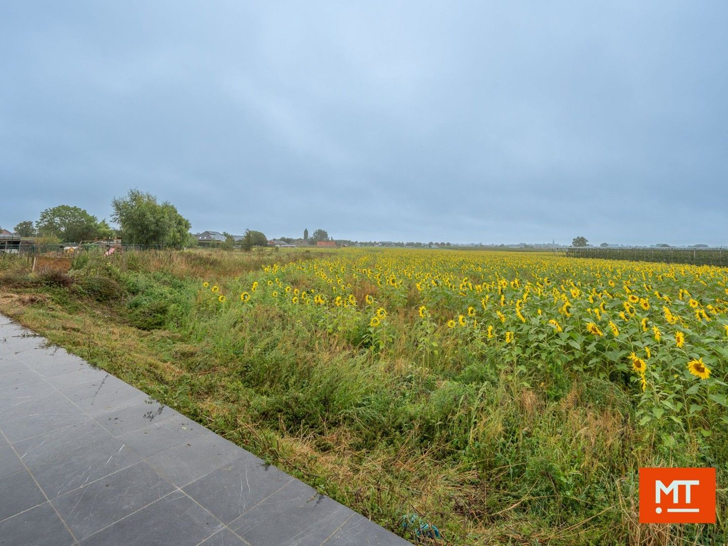 Alleenstaande woning (2013) in landelijke omgeving met naastliggend bouwland foto 2