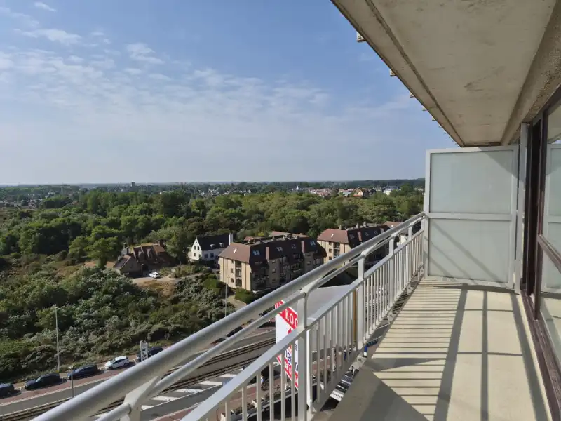 2-slaapkamer appartemet met terrassen en panoramisch zeezicht te koop foto 10