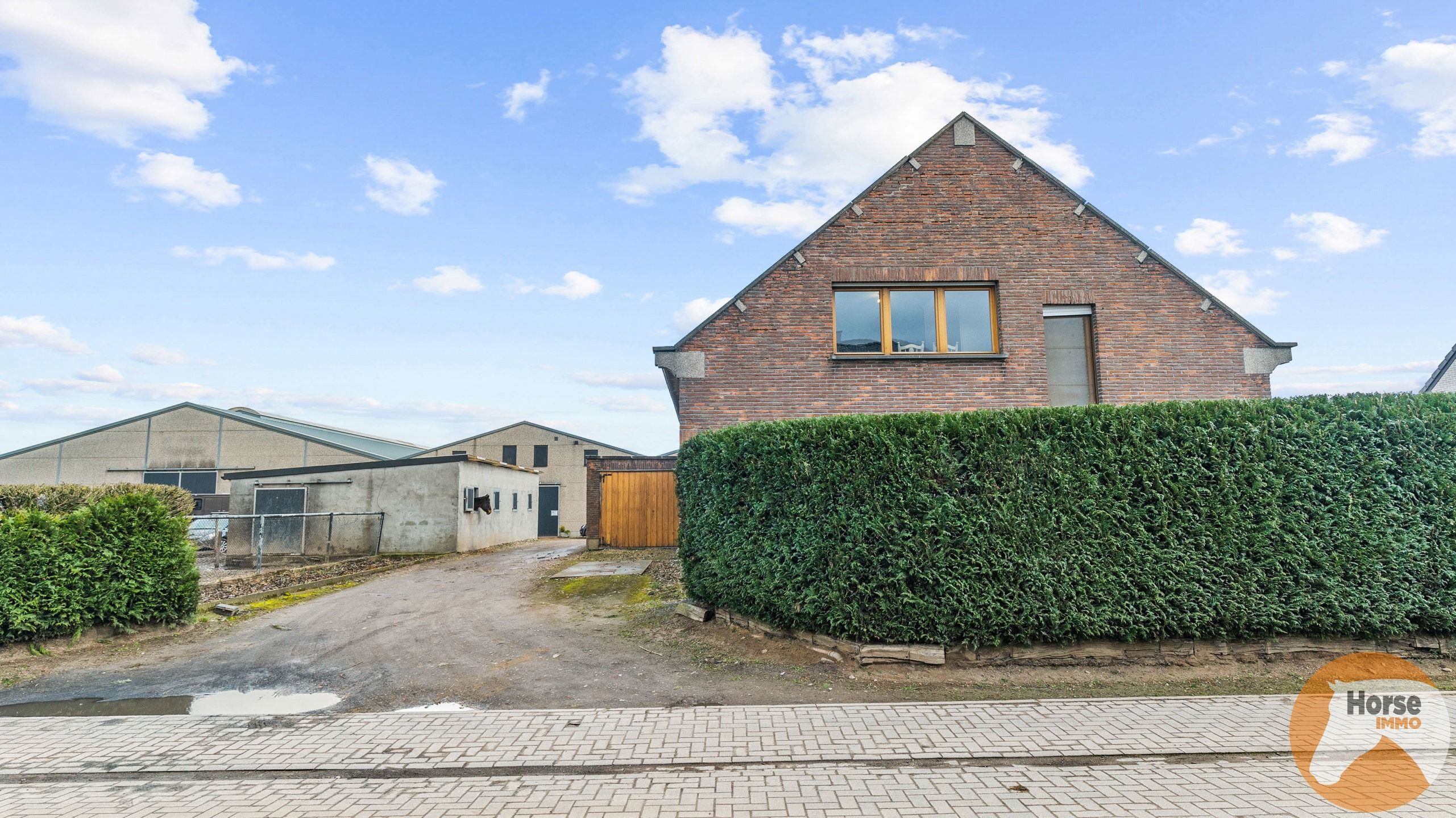 KAMPENHOUT - Professionele paardenaccommodatie op 4ha28 foto 13