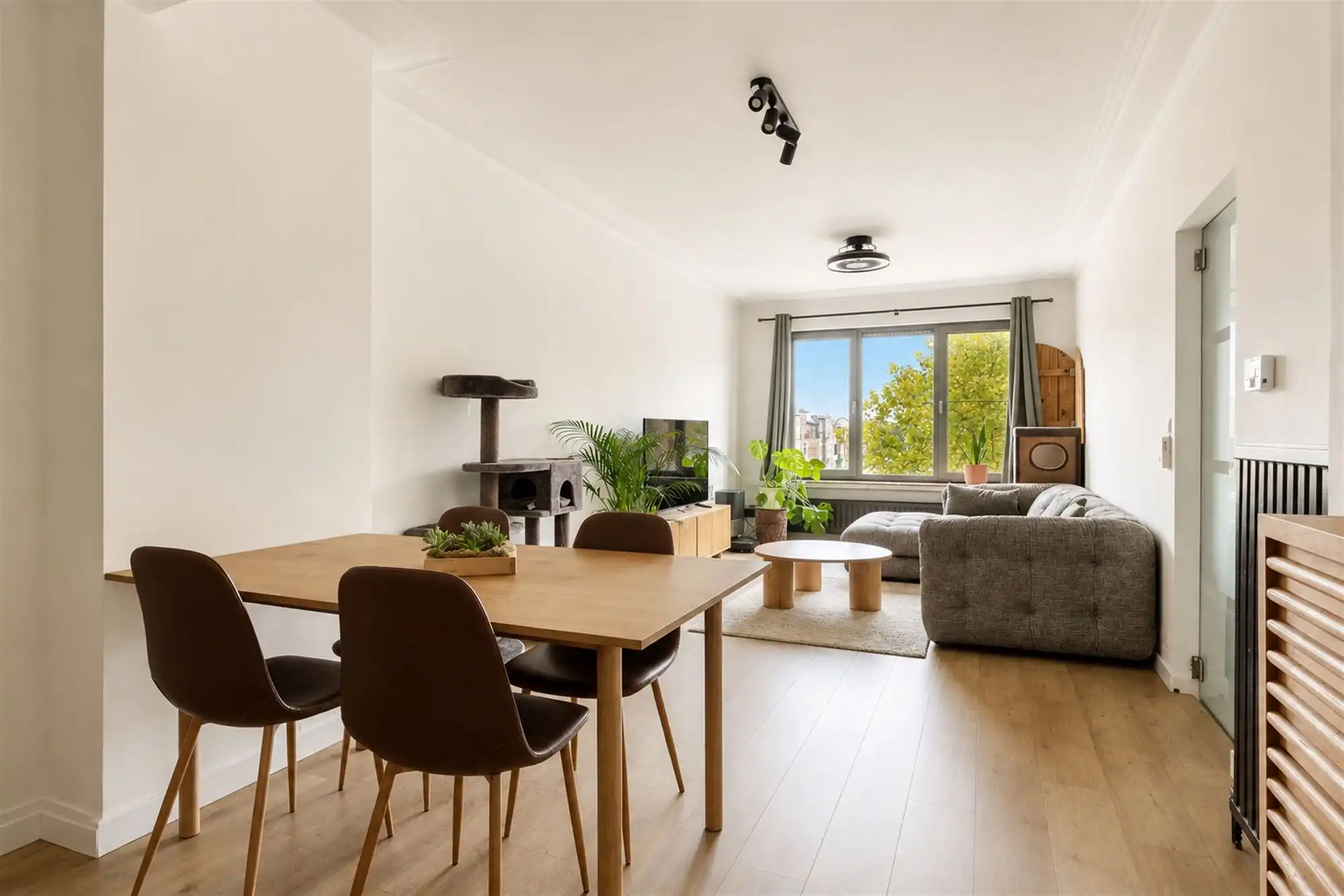 Appartement met 1 slaapkamer en overdekt terras centrum Mortsel foto 3