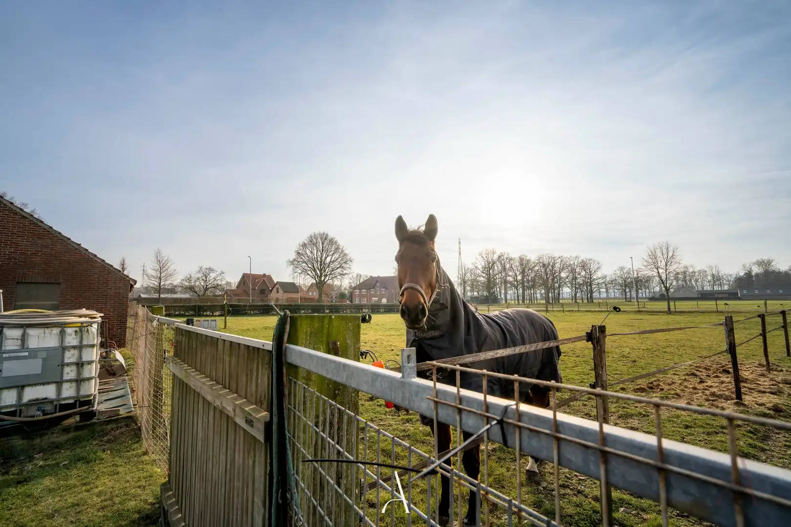 Landelijk wonen met volwaardige paardenaccommodatie op 7.929 m² in Tongerlo (Bree) foto 24
