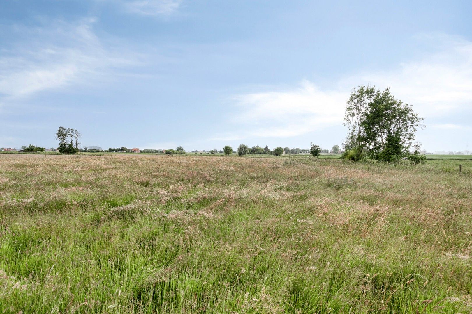 Alleenstaande woning met grote tuin en weiland op 3.846 m² foto 23