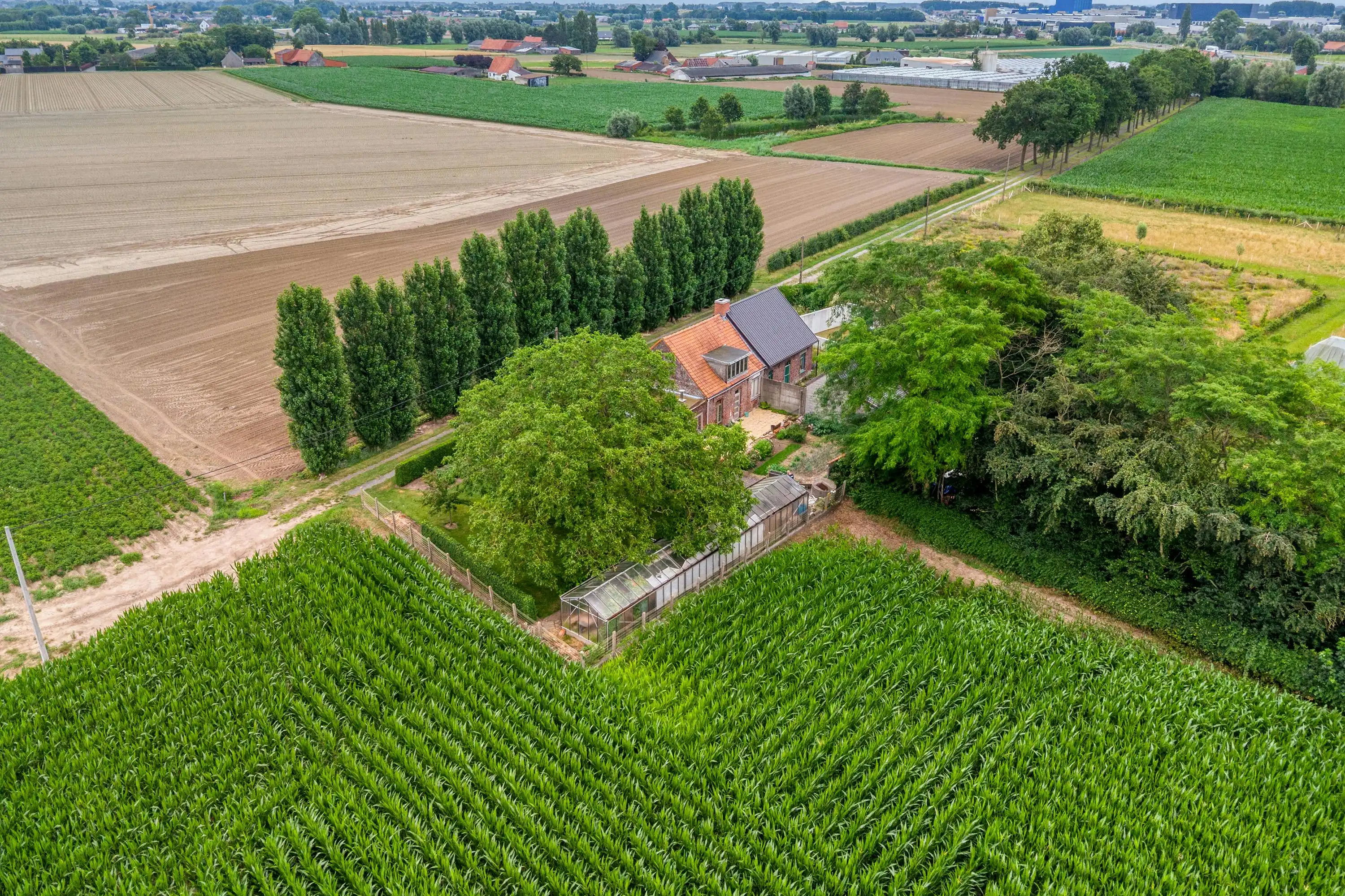 Uniek gelegen bouwgrond met prachtig landelijk uitzicht foto 21