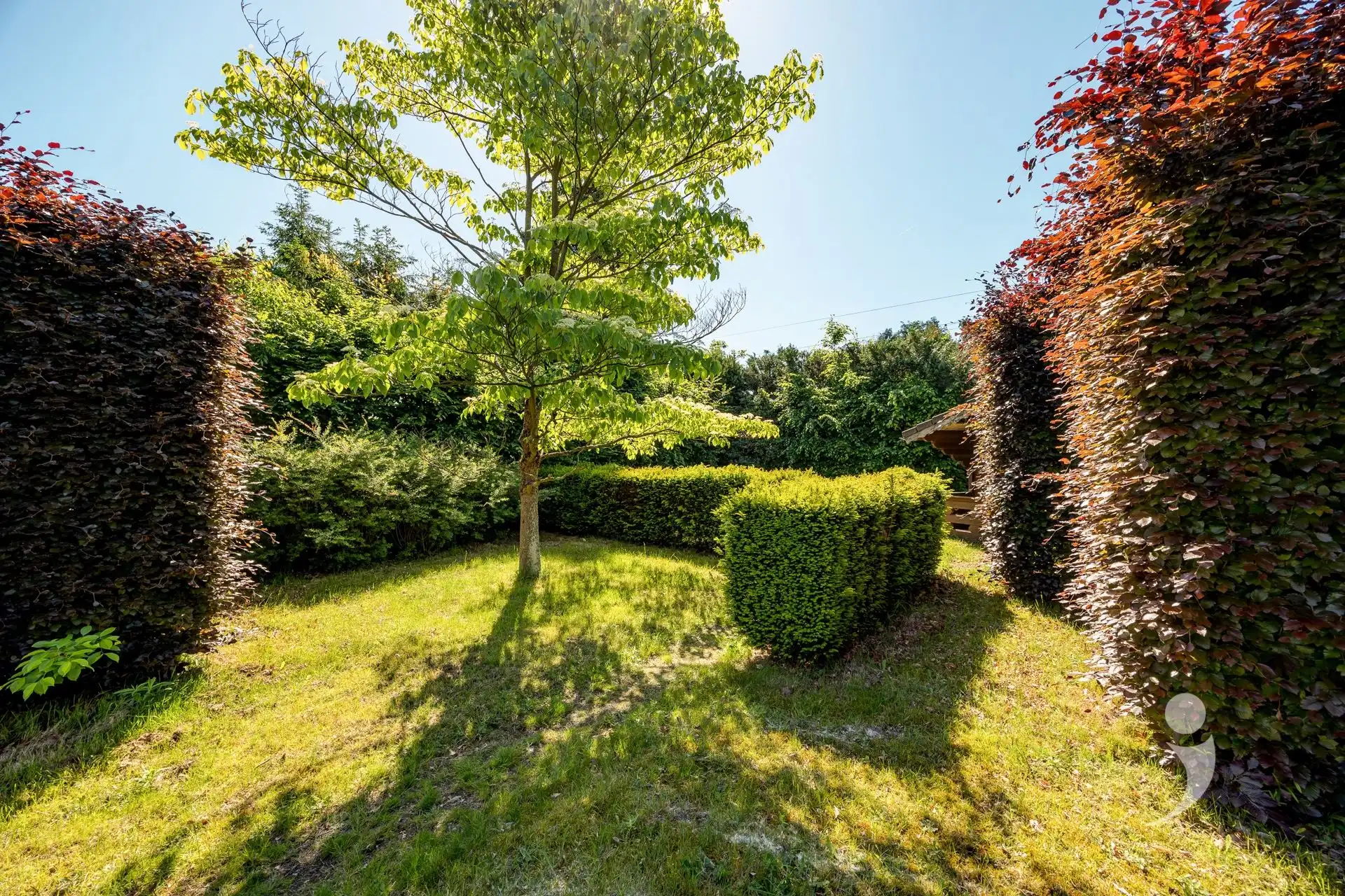 Te renoveren woning op een zonnig perceel foto 28