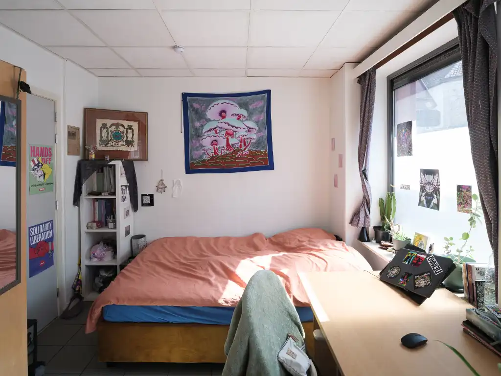 Opbrengsteigendom met 4 studentenkamers en 2 appartementen nabij het Rabot en de Tondeliersite foto 5