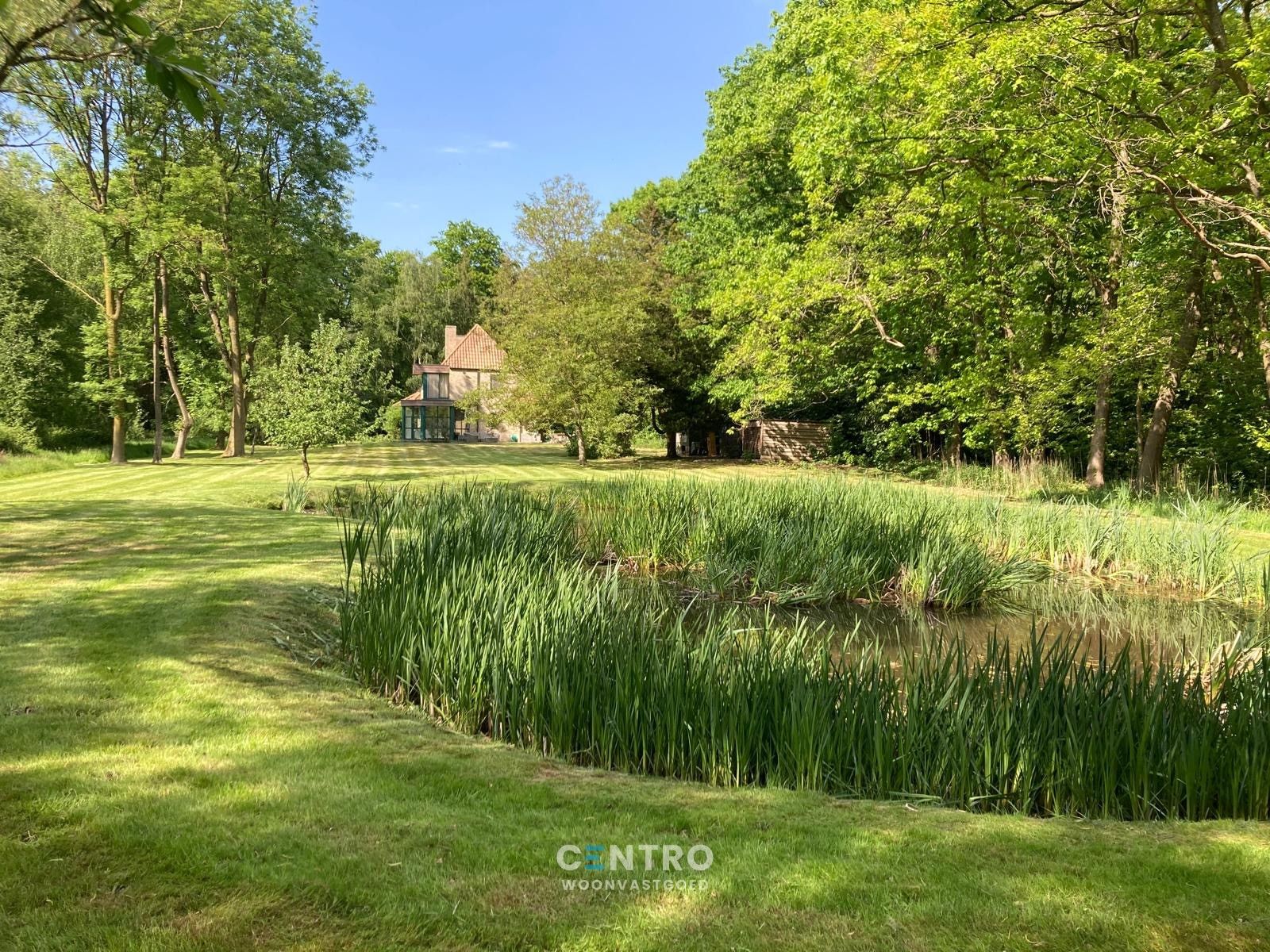 Instapklare VILLA (bj. 1998) met 5 slpks, 2 bdkms en dubbele garage in het RESIDENTIELE bos van Hertsberge! Rust en privacy ten TOP! foto 11