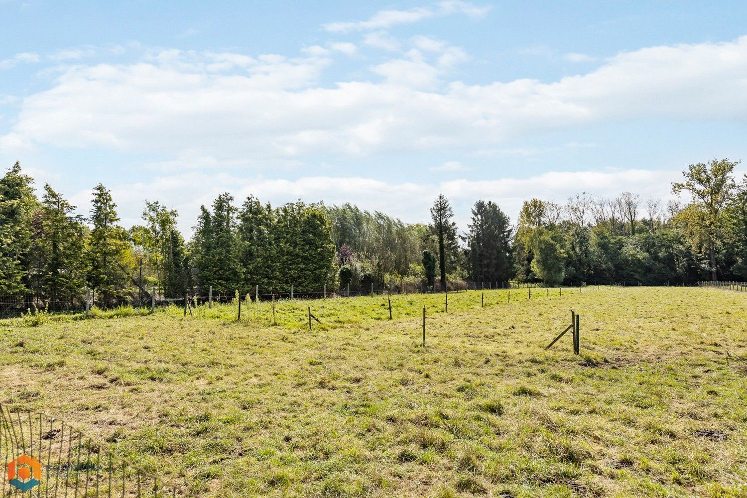 Te renoveren woning op een perceel van 6483m² te Nieuwrode foto 4