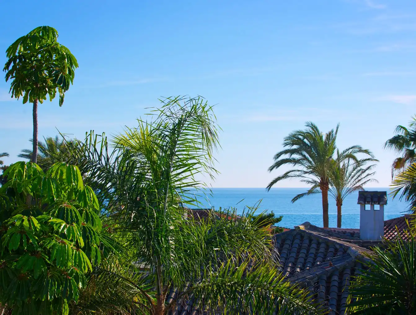 Op 50m van zee. foto 21