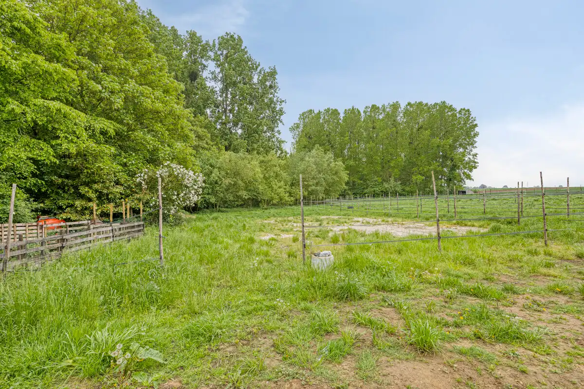 Gerenoveerde woning op een perceel van 94are foto 18