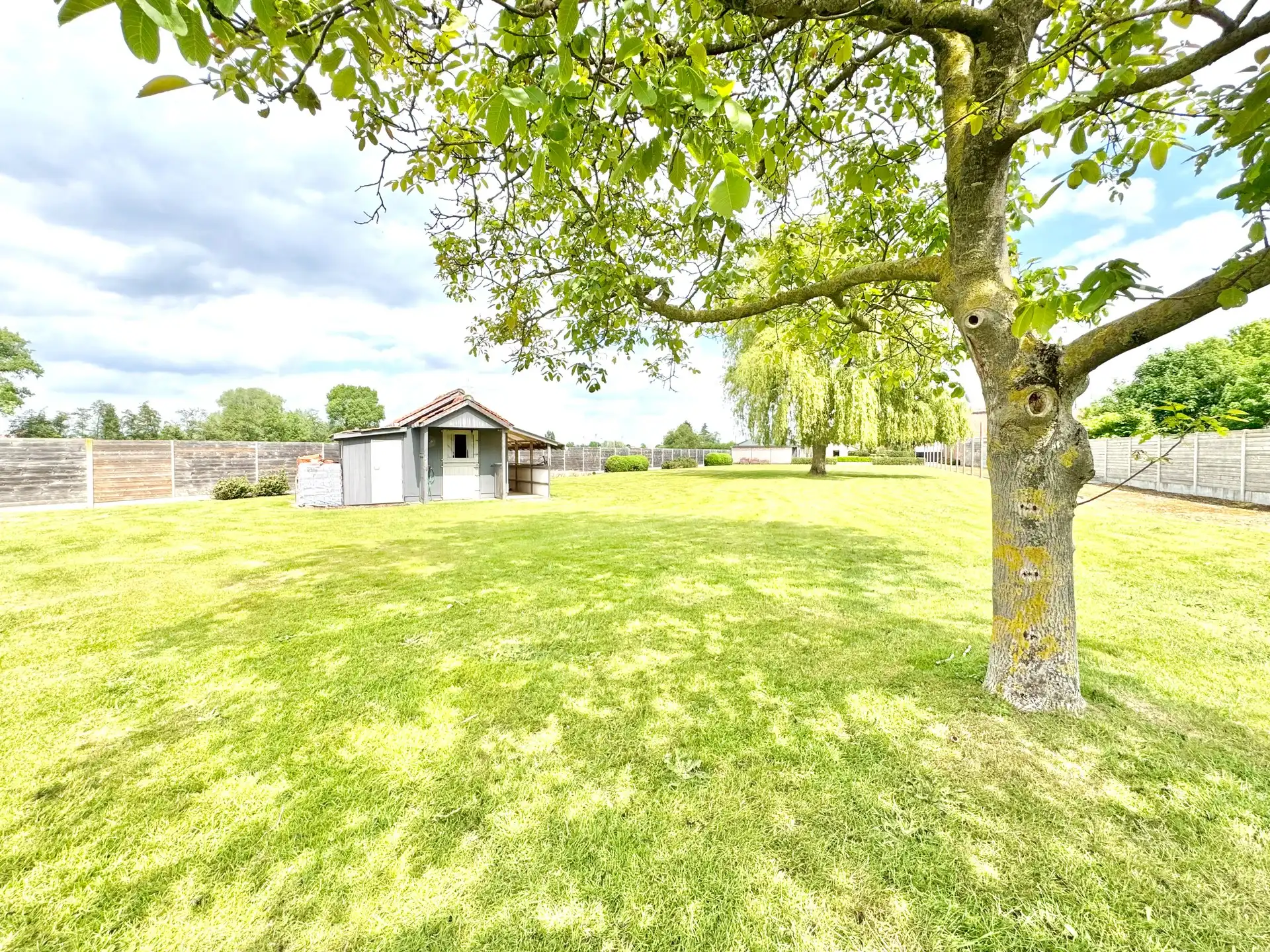 LANDELIJKE WONING MET 3 KAMERS EN BIJGEBOUW | 4.620 M² foto 9