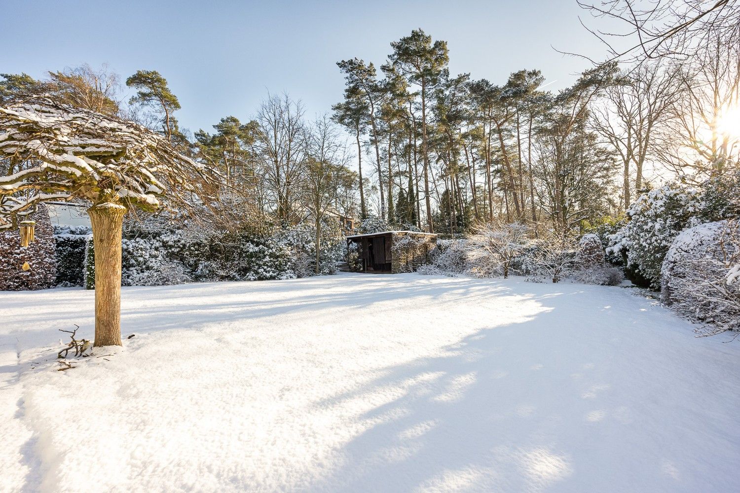Te renoveren vrijstaande woning op zuid georiënteerd perceel te  ’s-Gravenwezel, wijk Zonnebos foto 16