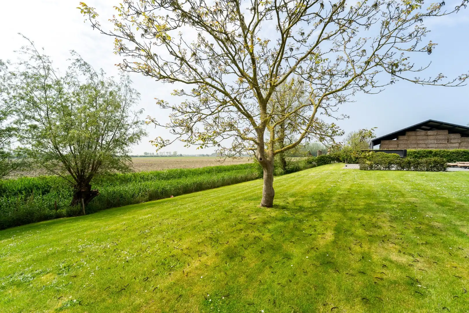 Prachtig gerenoveerde hoeve met panoramisch zicht over de polders foto 9
