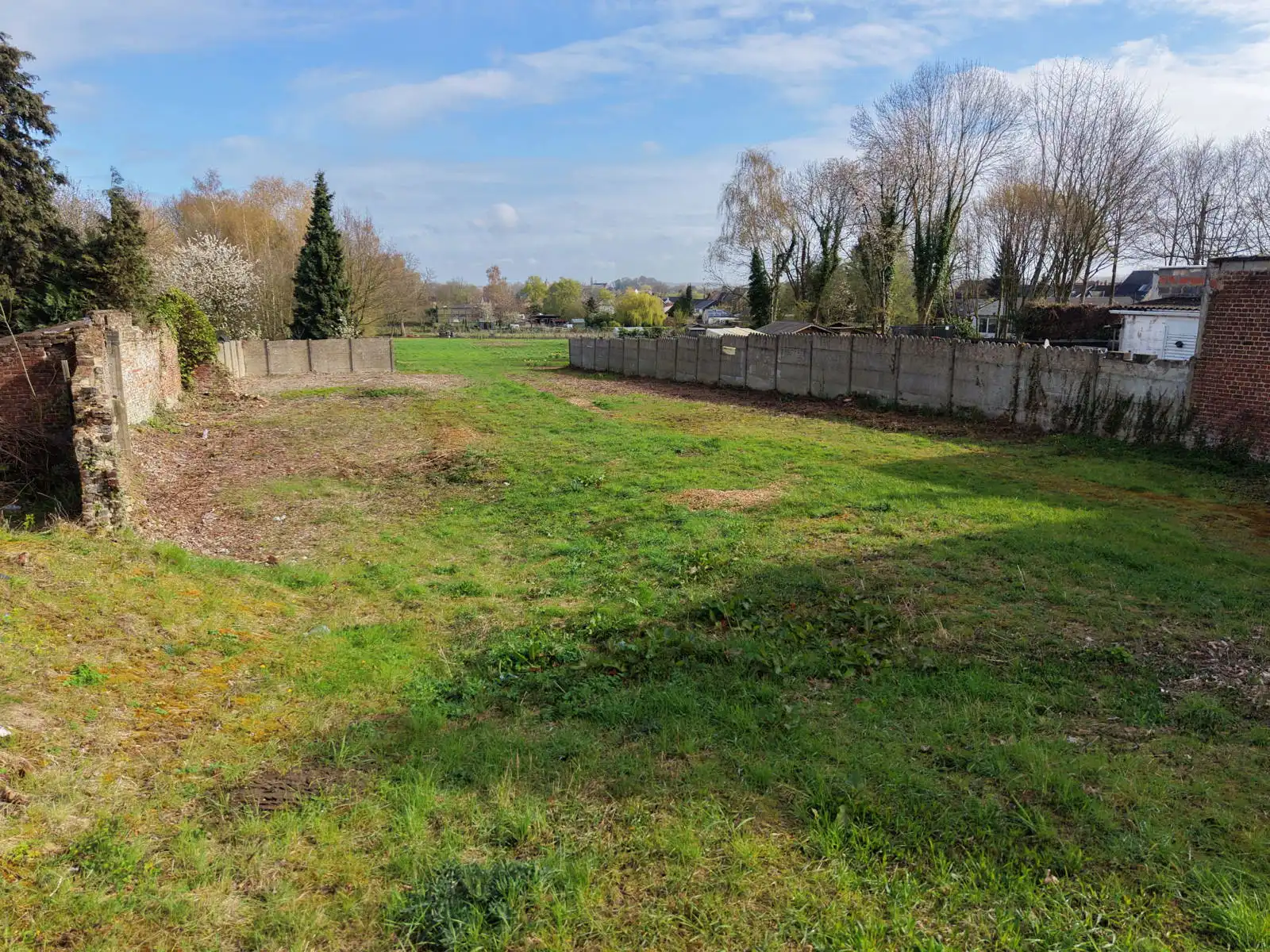 Bouwgrond + weide met diverse mogelijkheden! foto 6