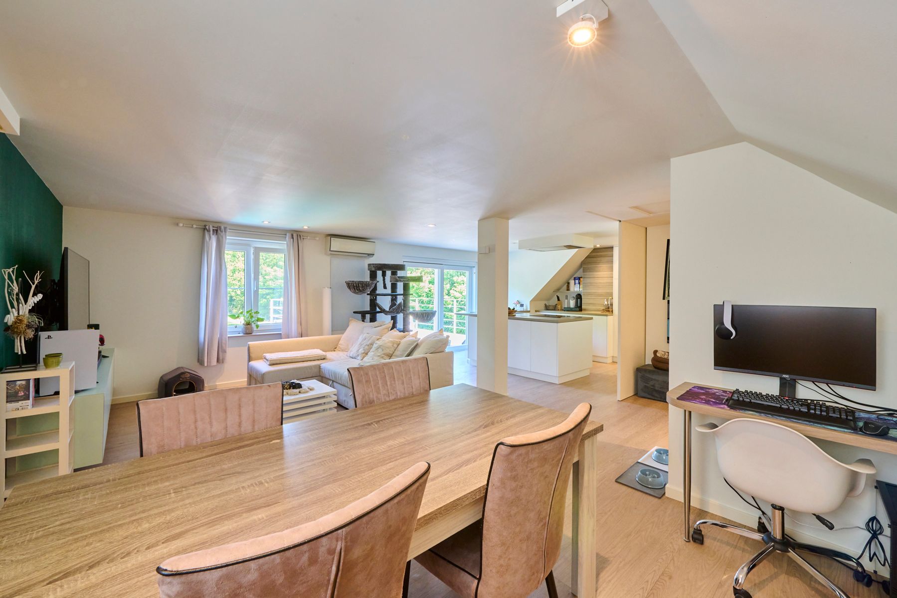 Exclusieve woning met handelzaak,appartement, zwembad en lift. foto 50