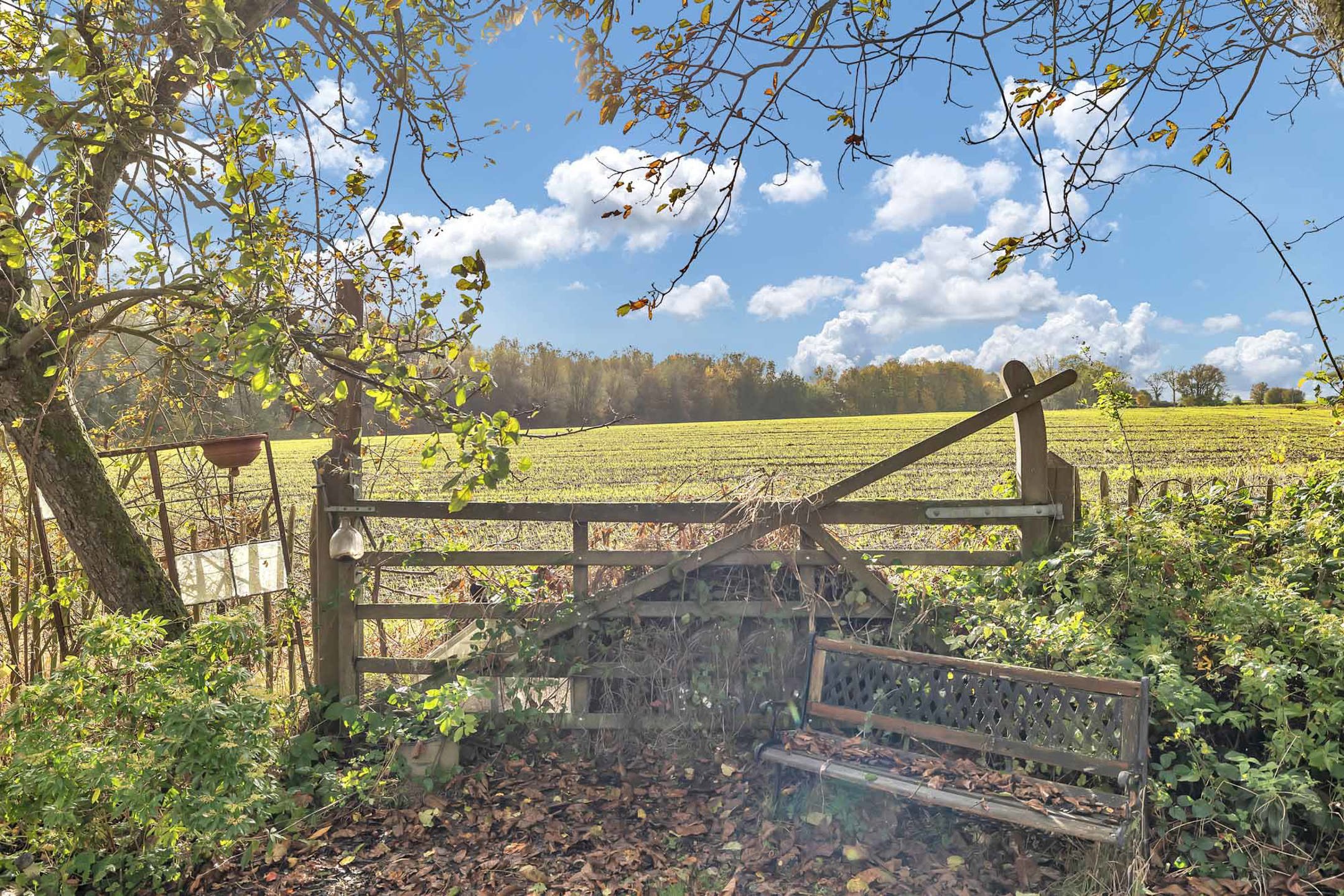 Fantastisch gerenoveerde hoeve met binnenzwembad foto 36