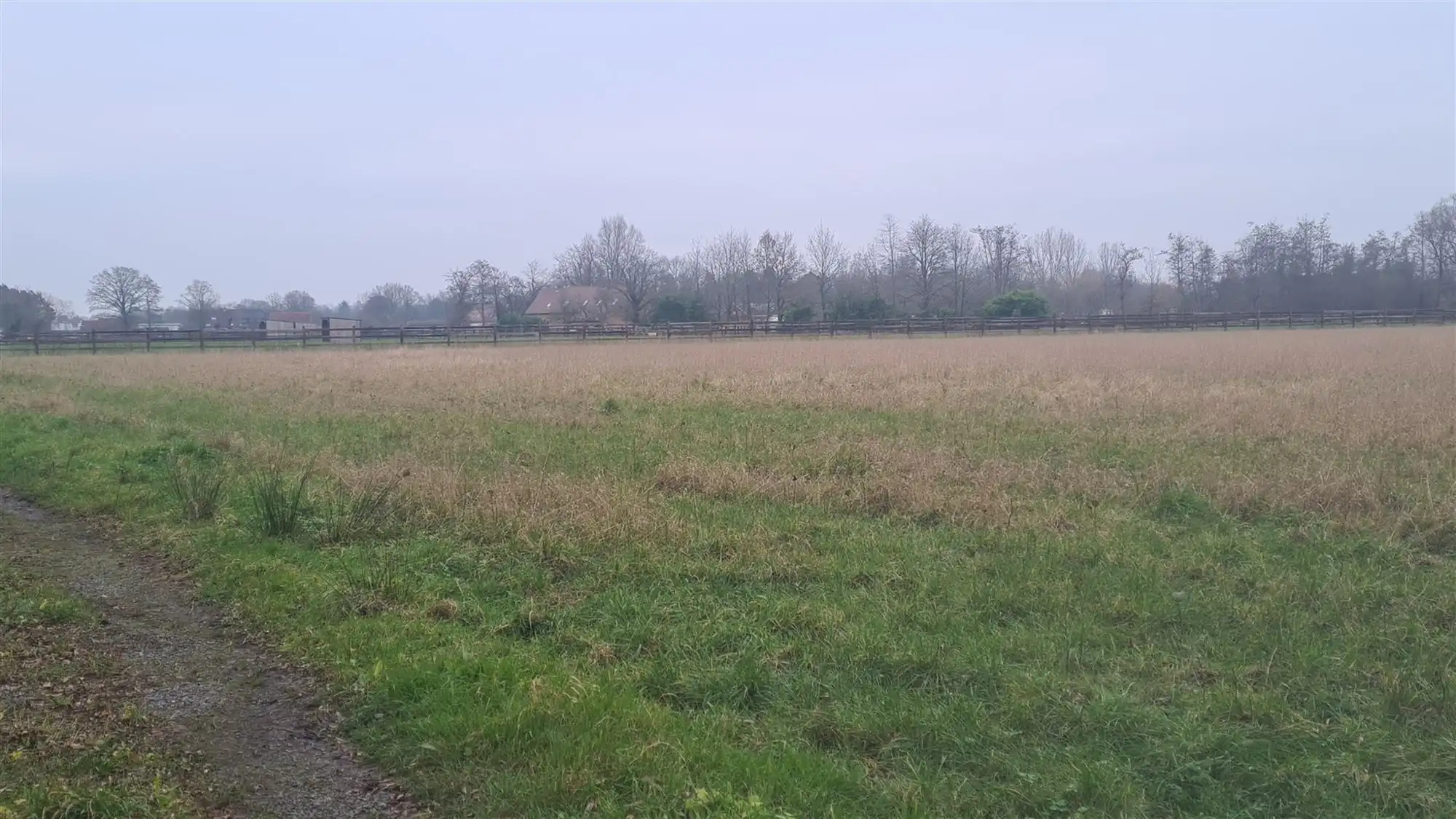 Landbouwgrond foto 10