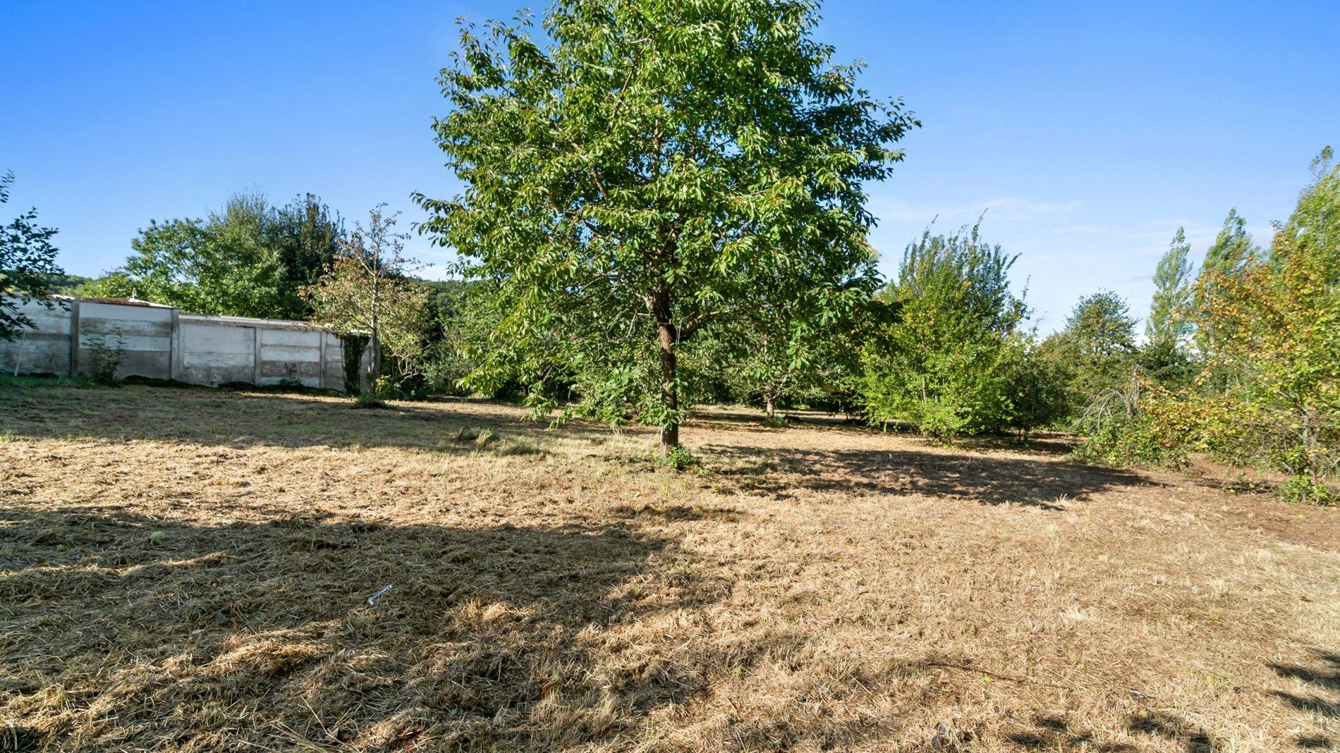 KESSEL-LO - unieke woning op 4409 m² foto 30