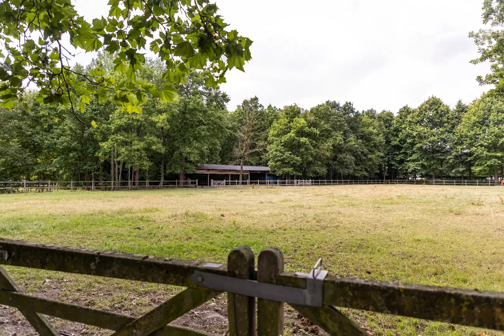 Prachtige landelijke villa met gezinstuin en graslanden op 32.558m² foto 3