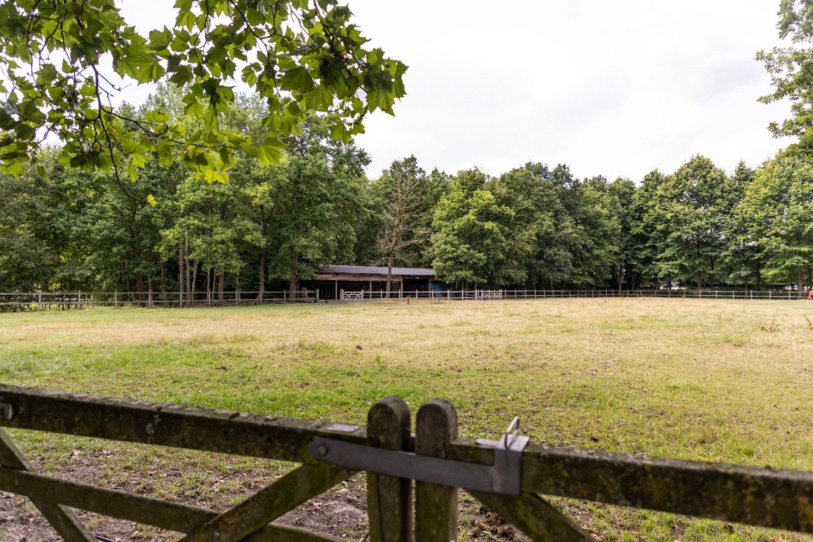 Prachtige landelijke villa met gezinstuin en graslanden op 32.558m² foto 3