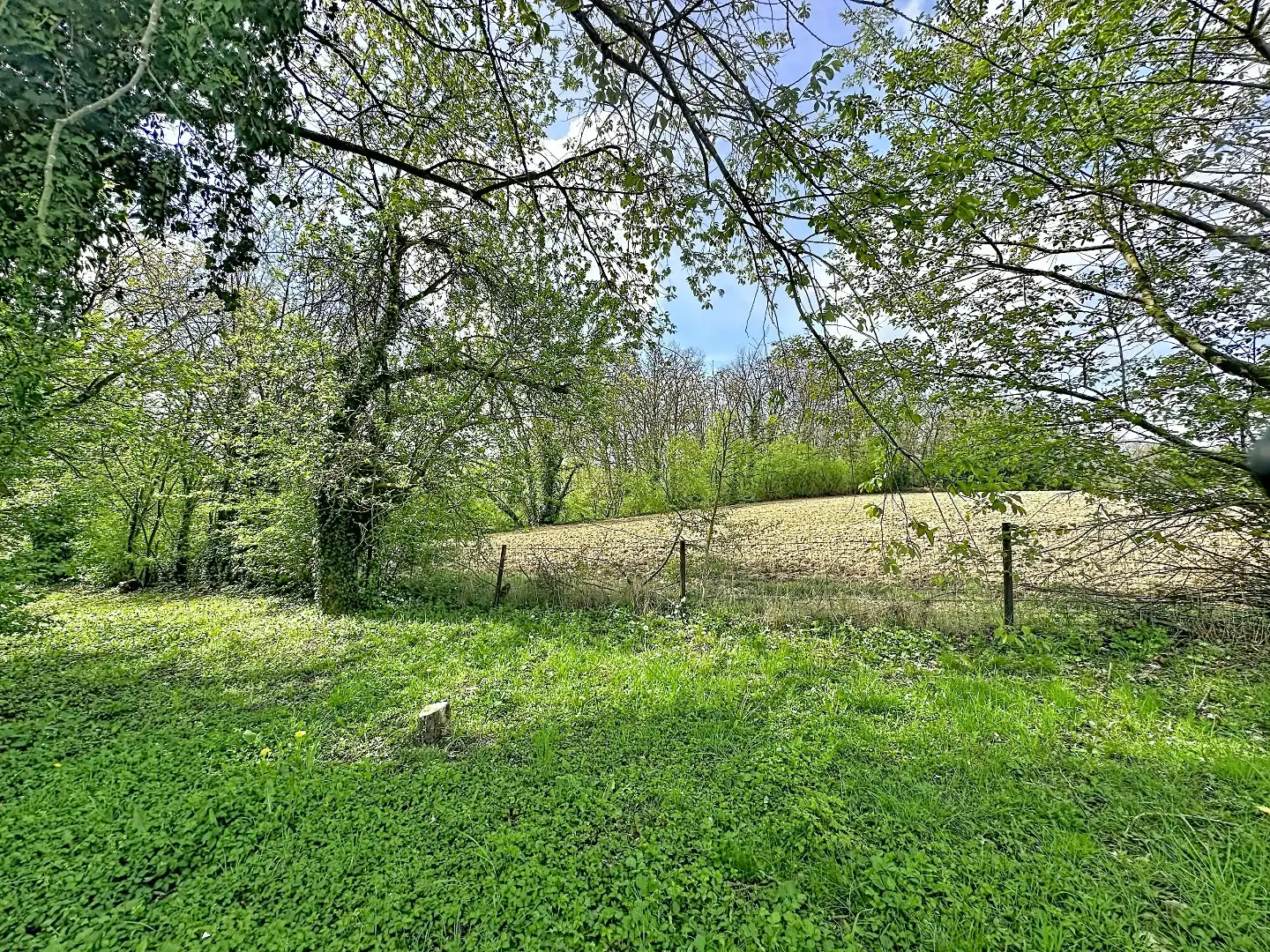 Uniek gelegen woning met adembenemende verzichten in het groene Bierbeek foto 28