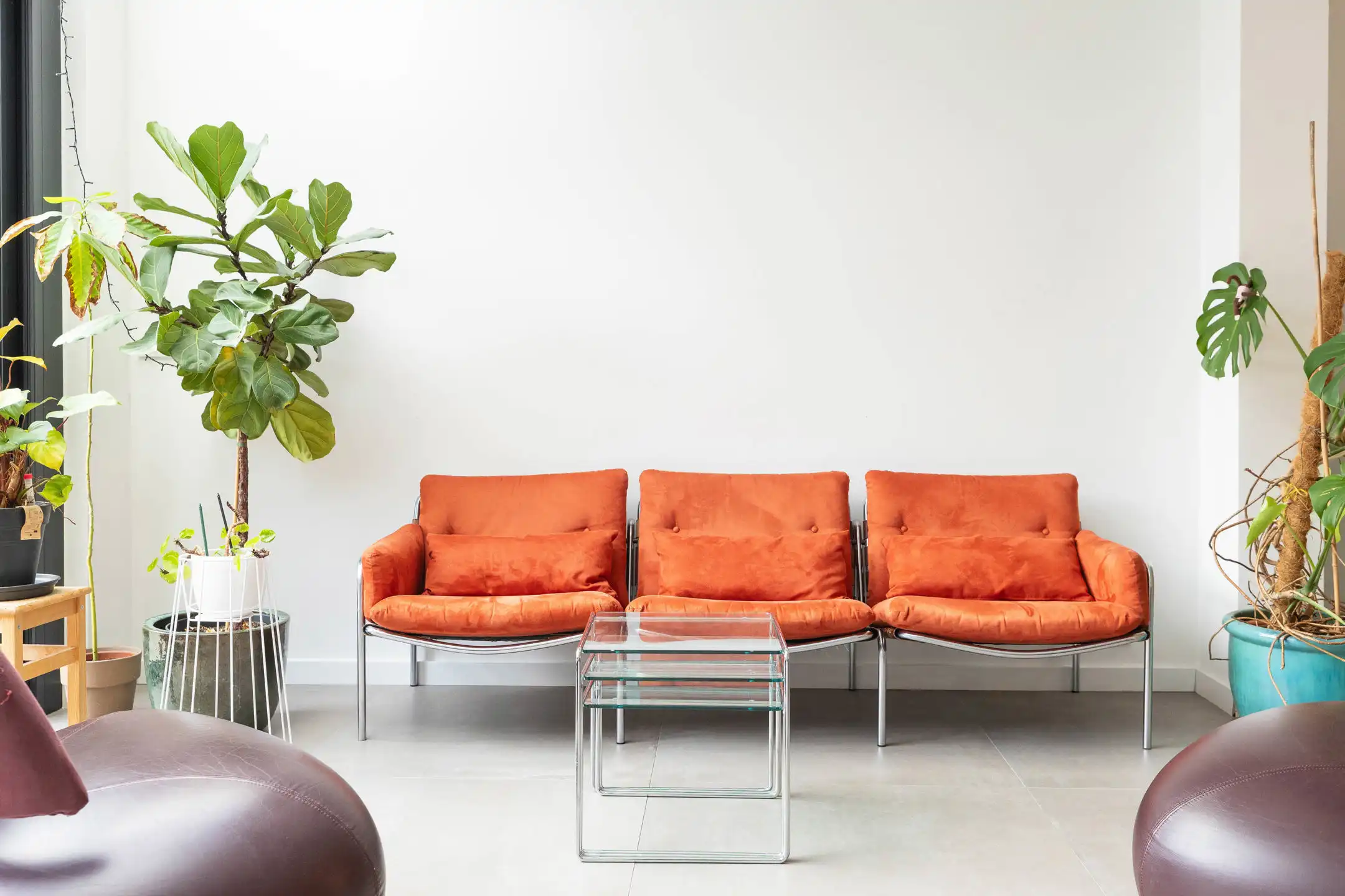 Energiezuinig wonen & XXL-tuin, vlak bij de stad foto 2