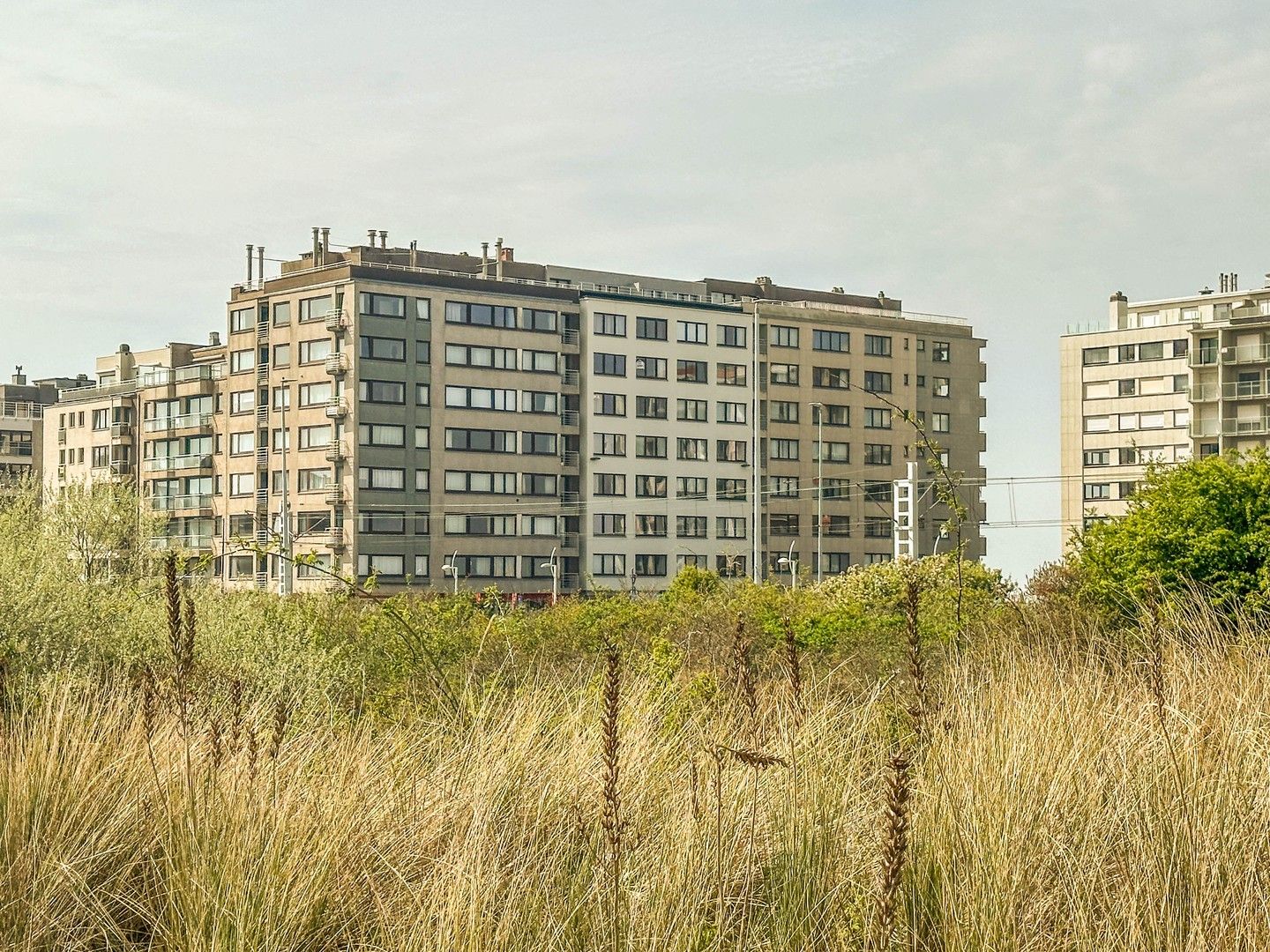 Instapklare studio op vlakbij zee – Ideaal als Tweede Verblijf. foto {{pictureIndex}}