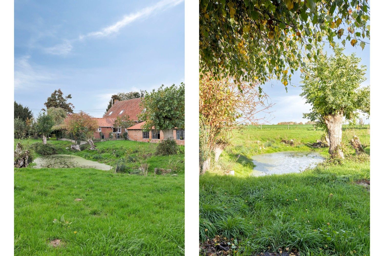 Beveren aan de IJzer: Charmant en historisch hoevetje met woonhuis, diverse stallingen, loods en weide op 3.967m² totale grondopp. foto 18
