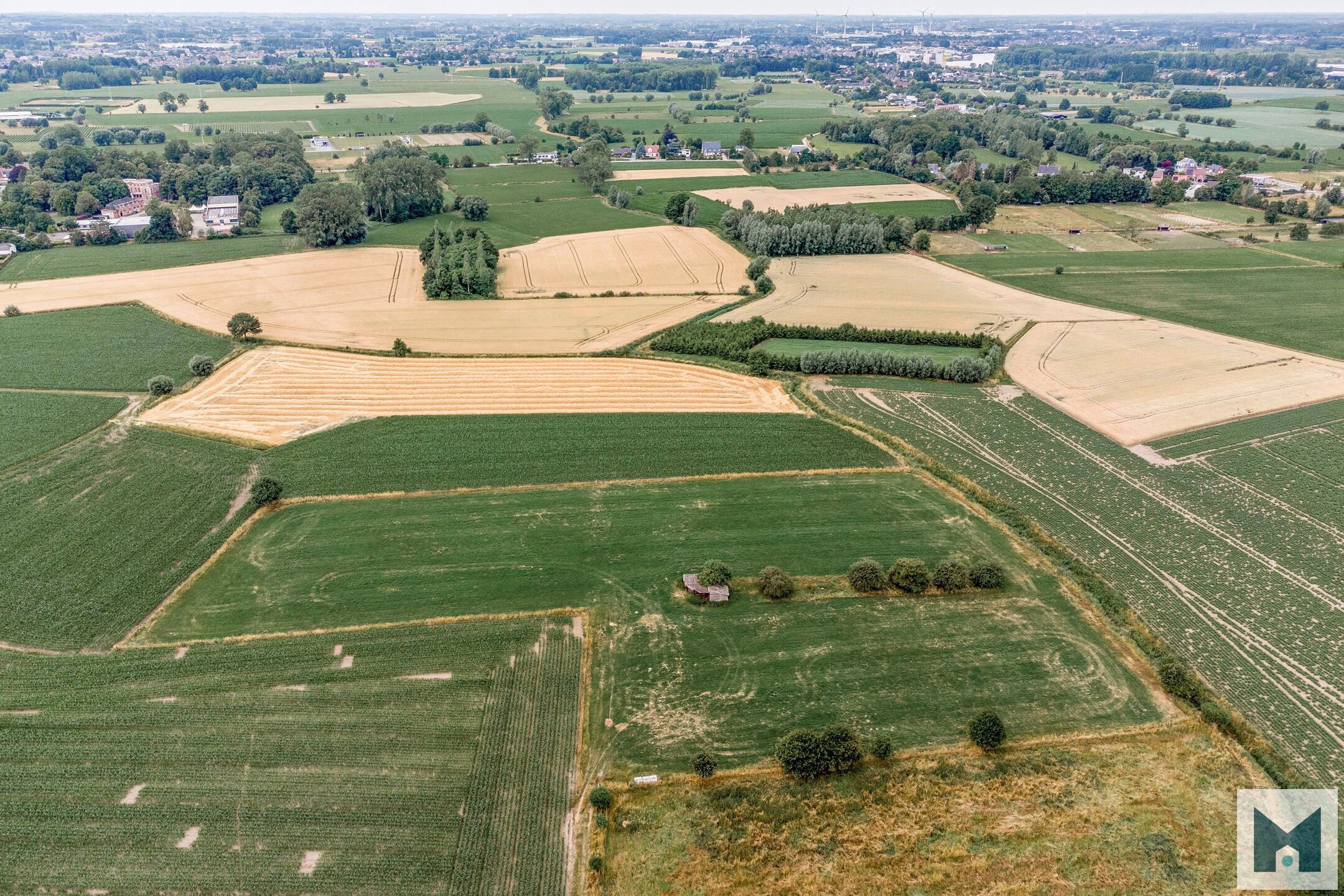 Prachtig weiland van maar liefst 1,864 hectare!  foto 5