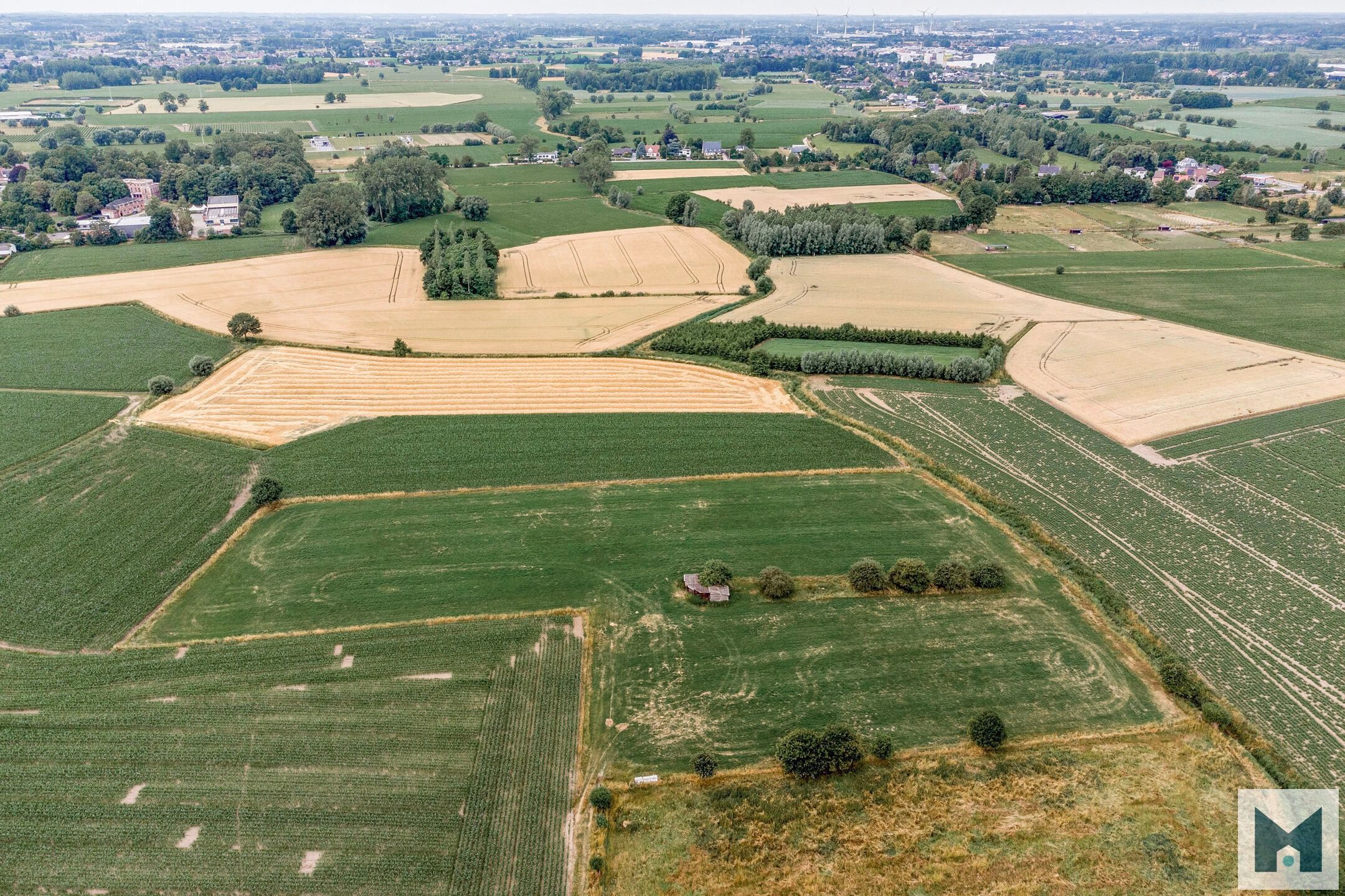 Prachtig weiland van maar liefst 1,864 hectare!  foto 6