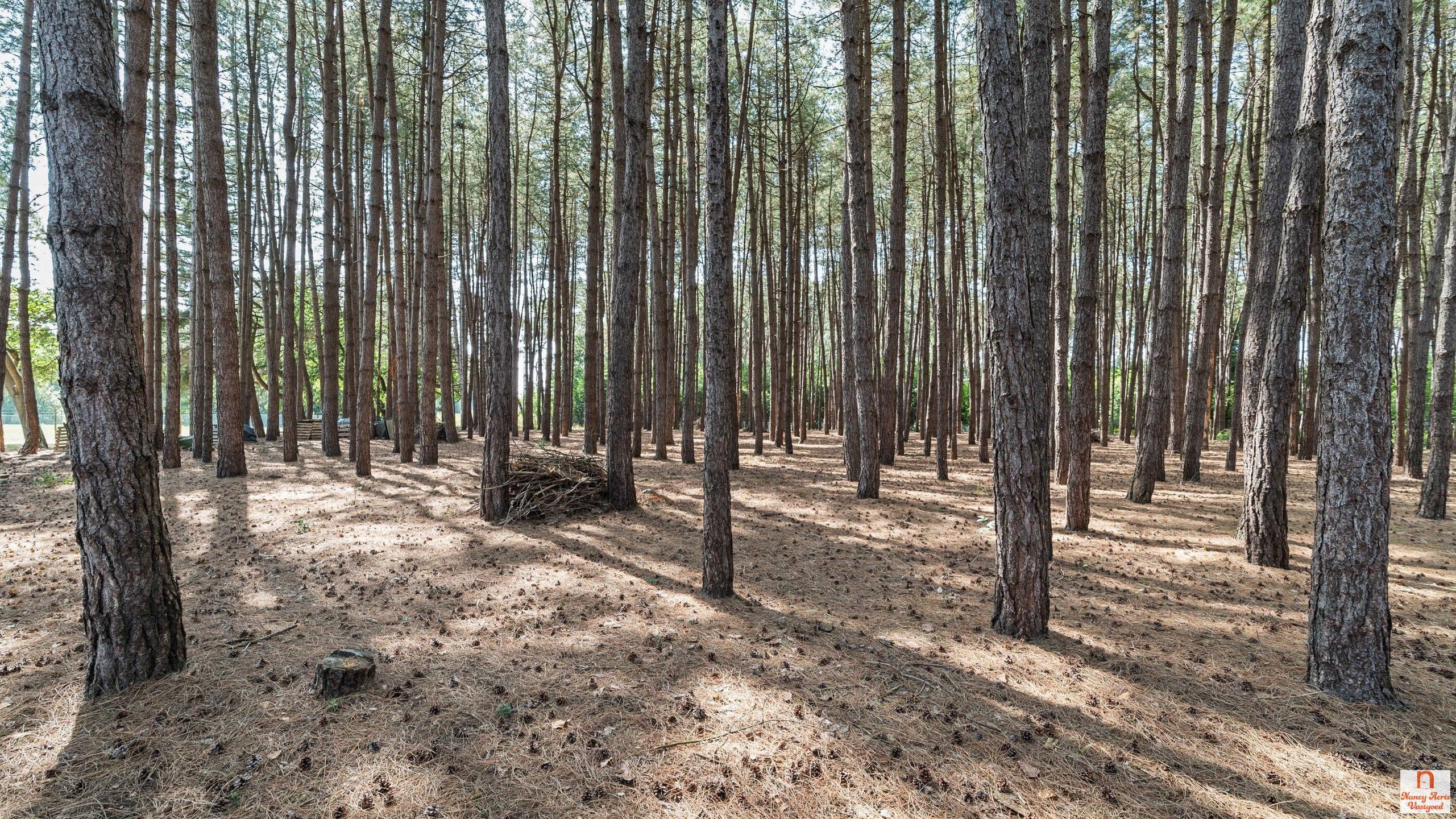 Luxueuze villa met overdekt zwembad, bos en weiland foto 62