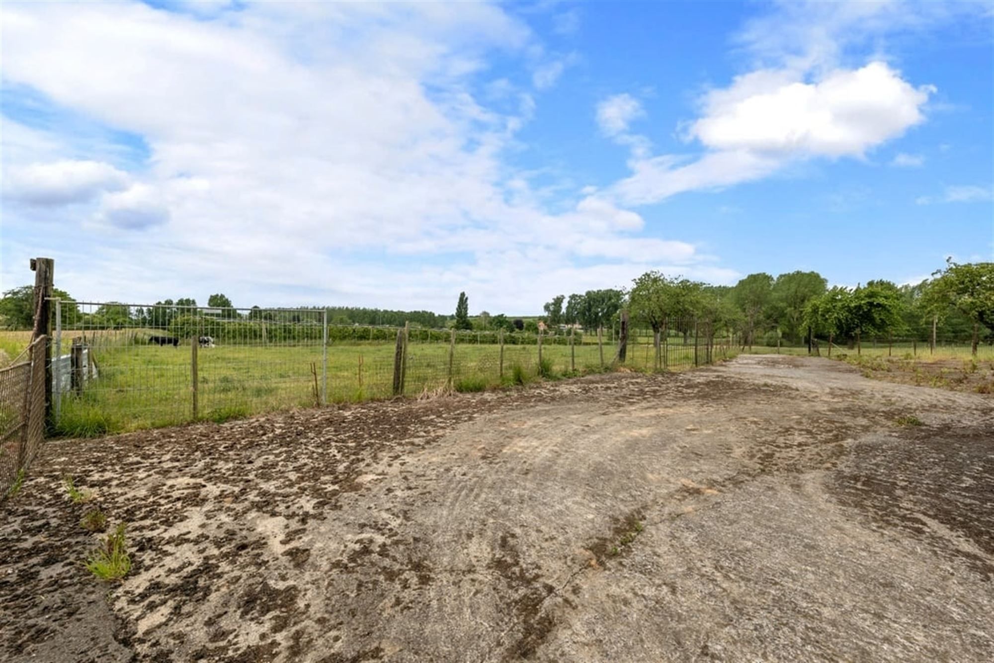 RUIME GEZINSWONING MET LOODS EN WEIDE OP 1,1 HECTARE IN HET LANDELIJKE SINT-TRUIDEN foto 21