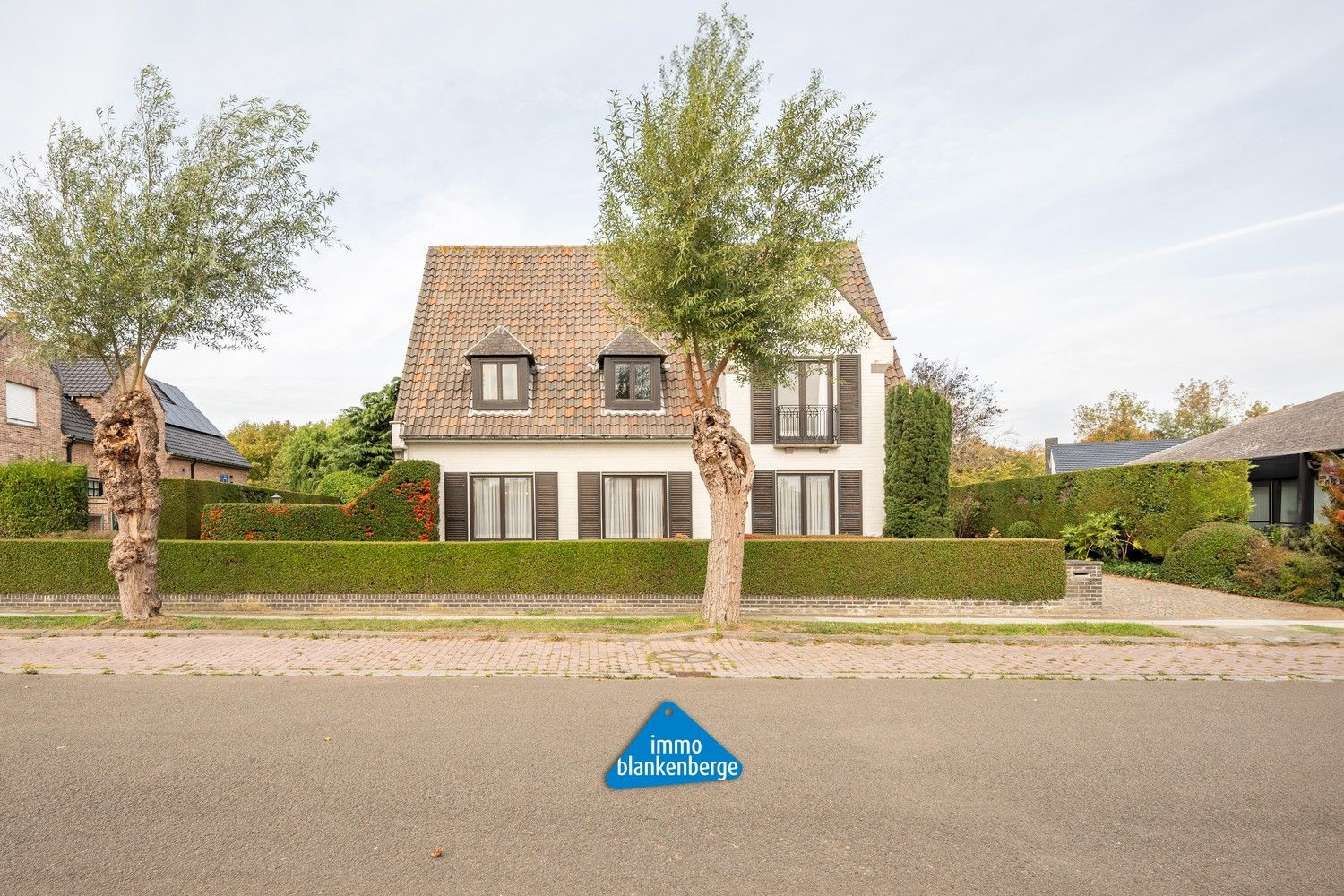 Exclusieve villa in een gegeerde residentiële wijk foto 2