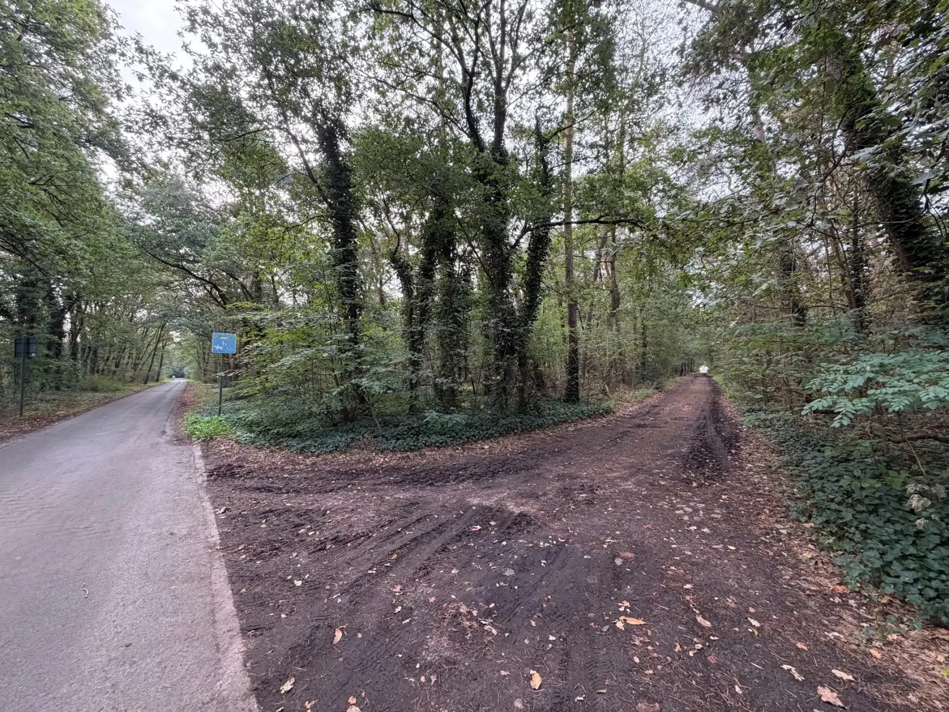 Een perceel bosgrond van 16.170 m². foto {{pictureIndex}}