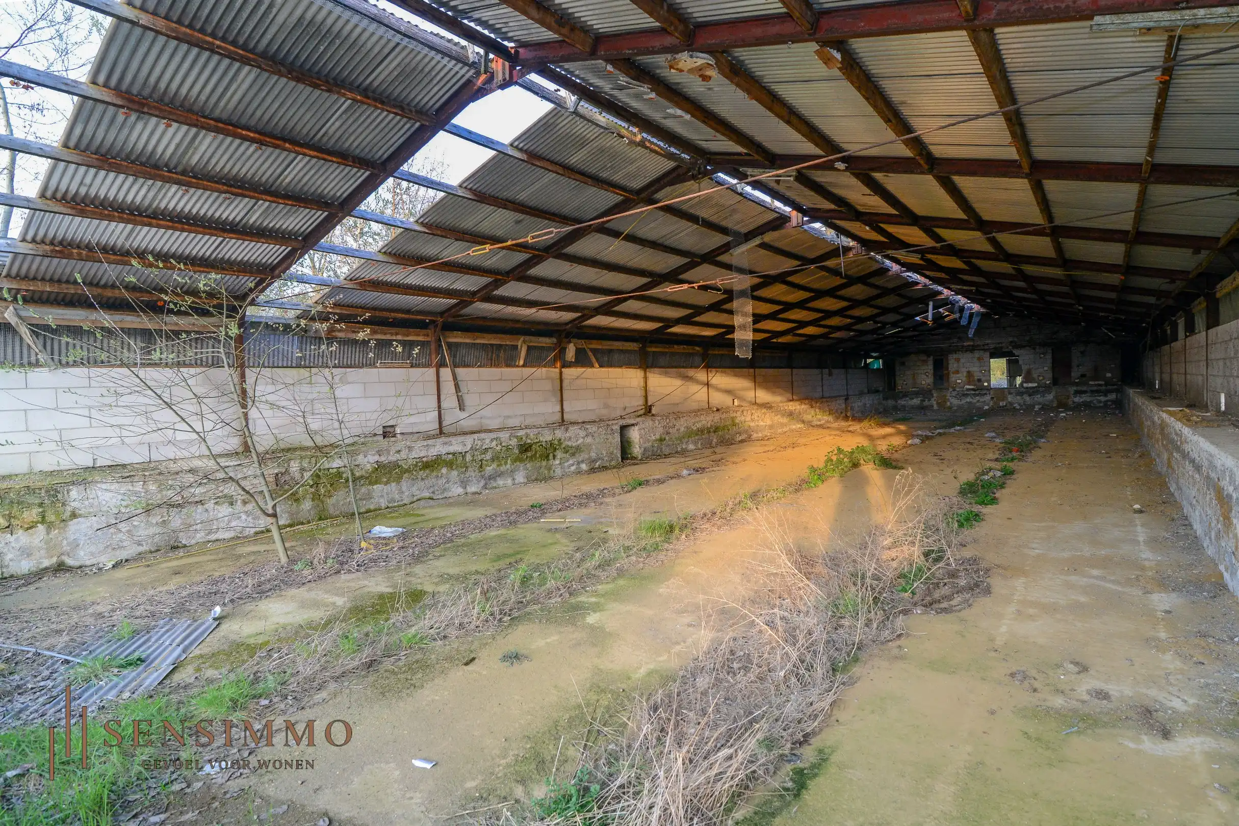 Interessante investeringsopportuniteit: te renoveren loods op strategische ligging foto 10