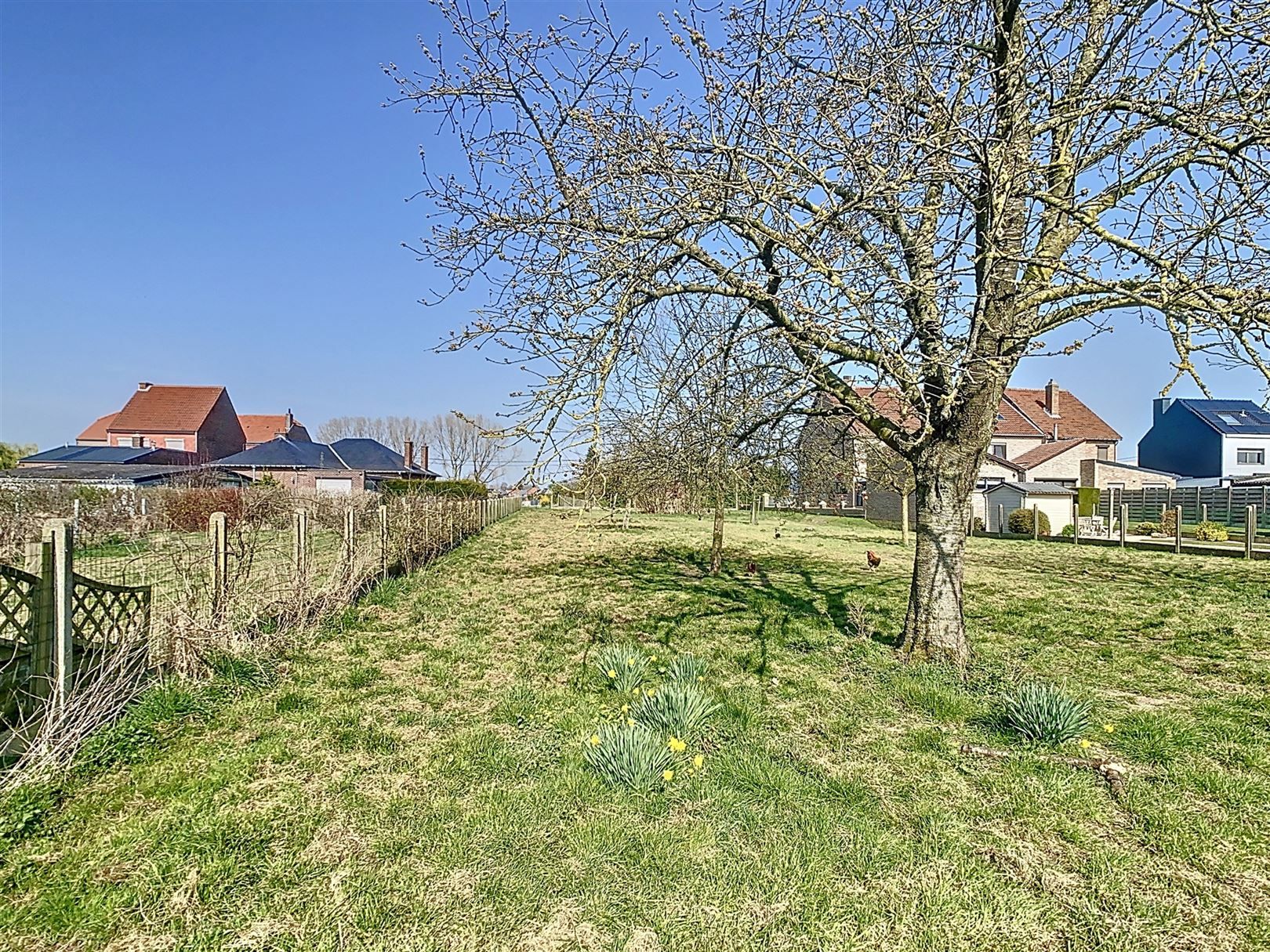 Charmante woning, 3 slpks, garage, weides, 1h 23a 72ca foto 40