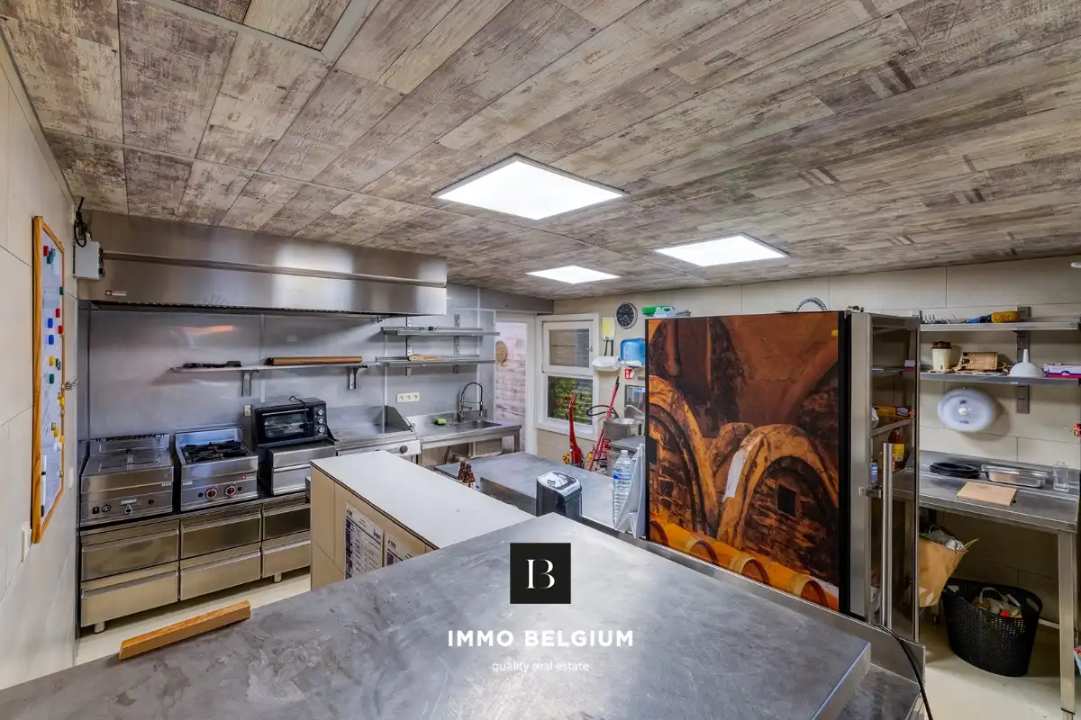 Gerenoveerde eigendom in de Concessie foto 11