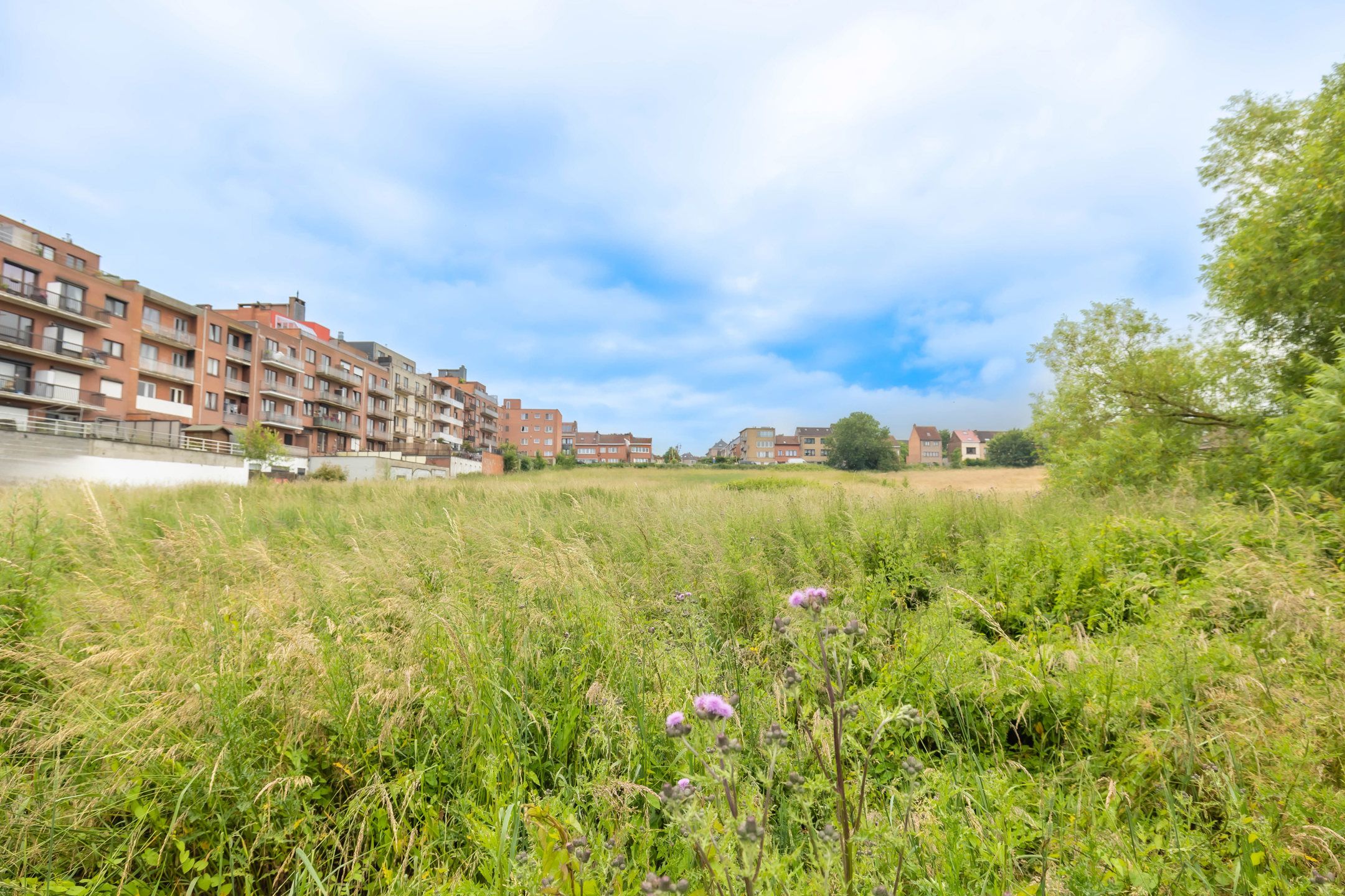 2bed met 27m² terras in het hart van een natuurpark! foto 27
