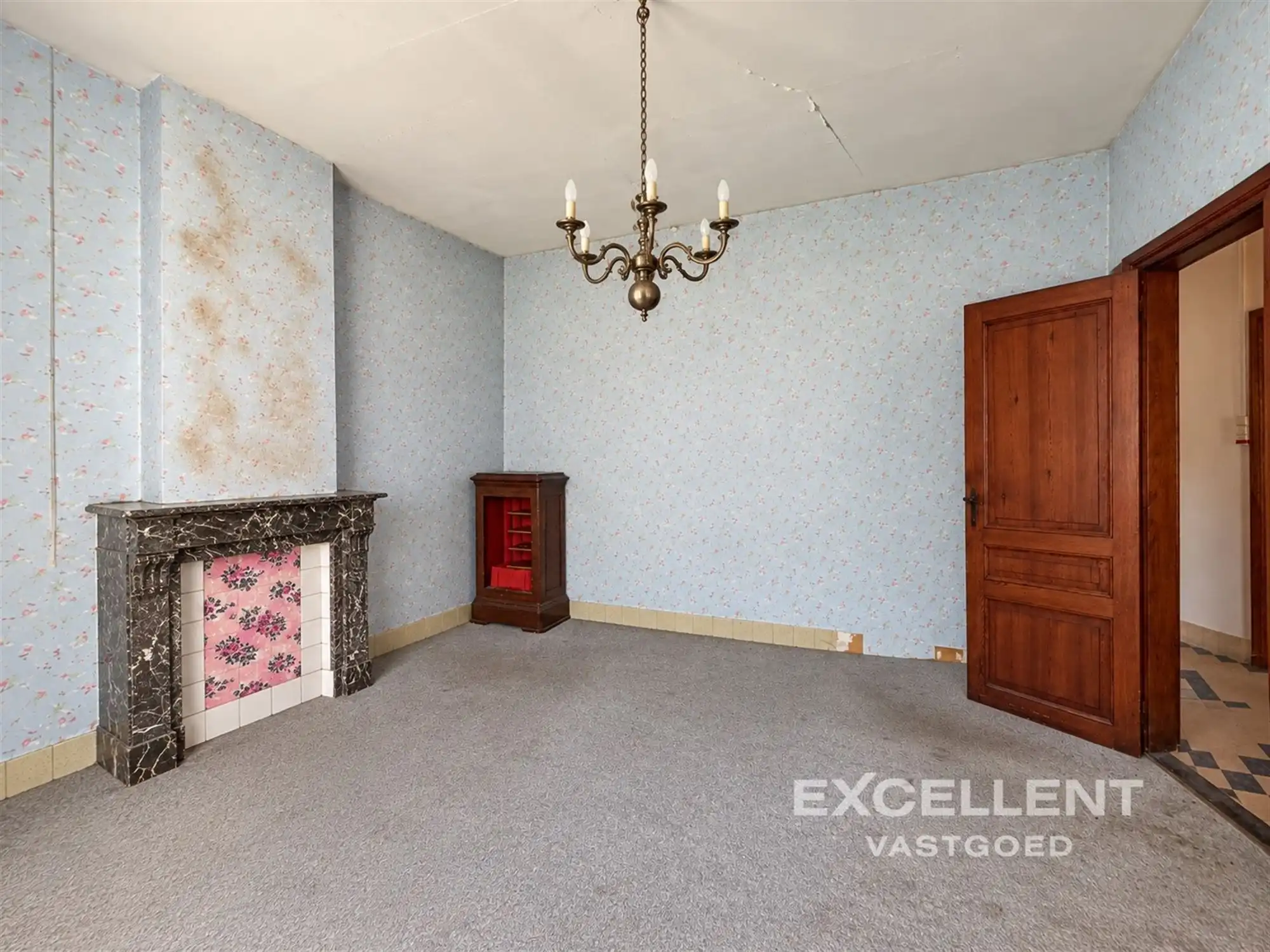 Woning met commerciële ruimte op uitzonderlijk perceel foto 7