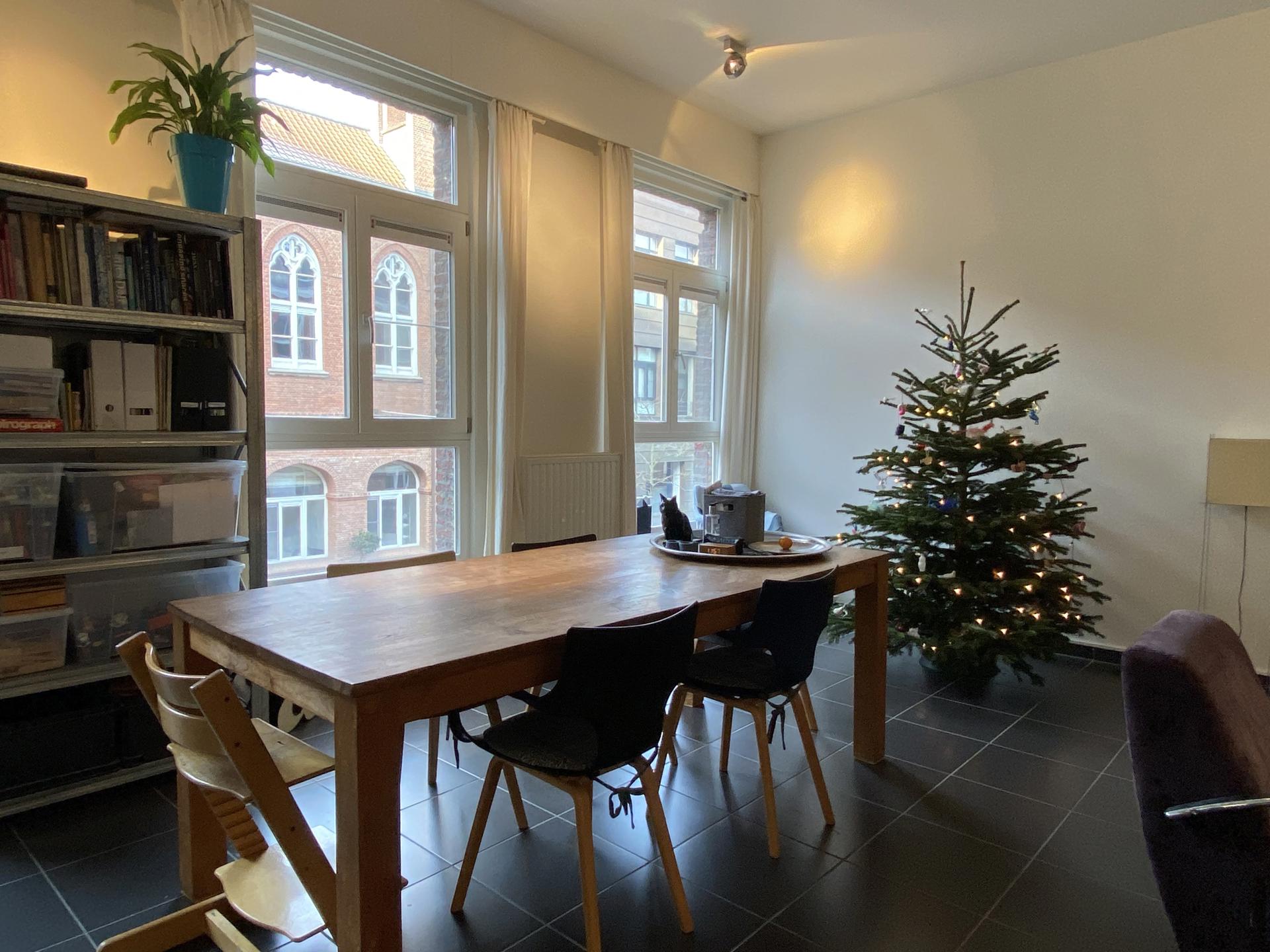 Ruim appartement in hartje Antwerpen inclusief parking foto 2