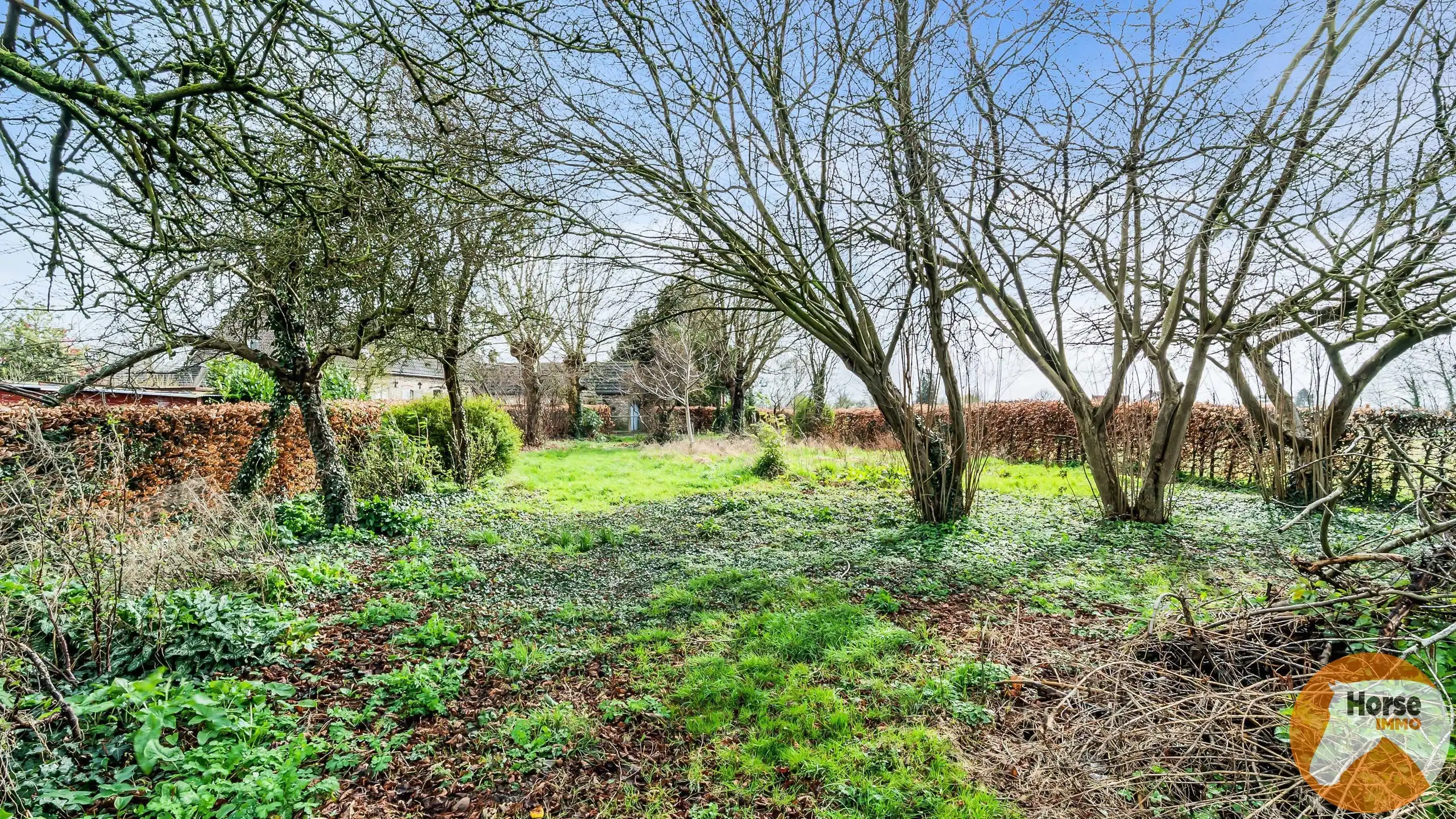 ZWALM - Villa op +/-1,1HA foto 33