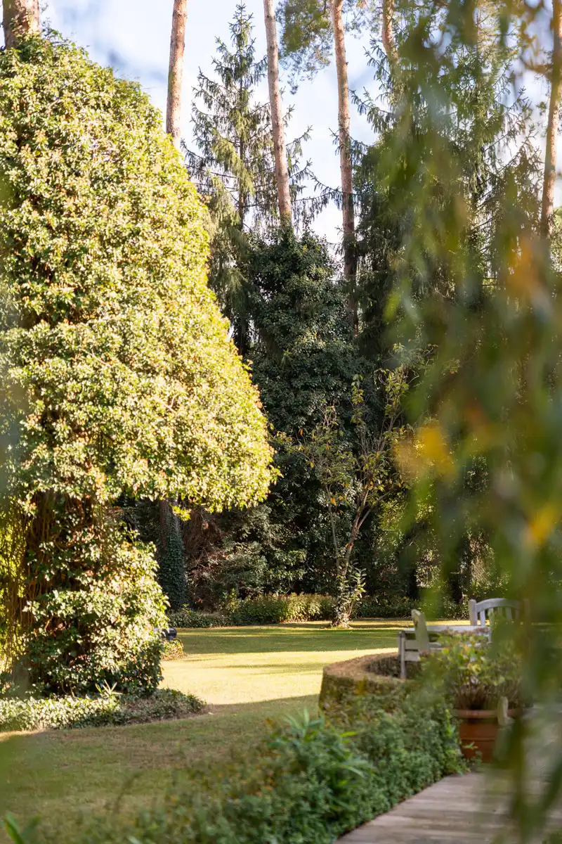 Exclusieve villa met 5 slpk op ruim groen perceel foto 28