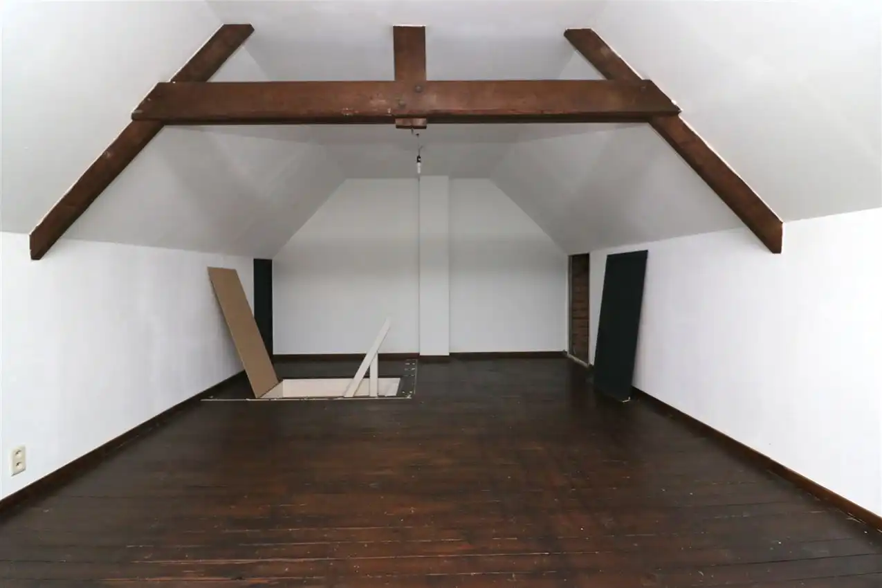 charmant, ruim, mogelijkheid beroep of kangoeroe foto 24