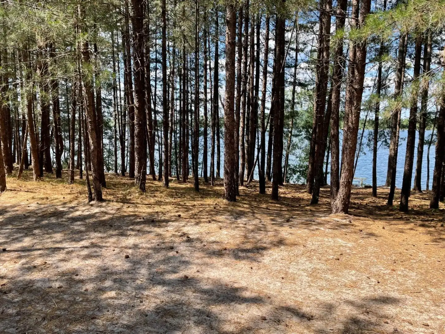 Dubbele woonst op 3000m²  met uitzicht op natuur en water foto 11