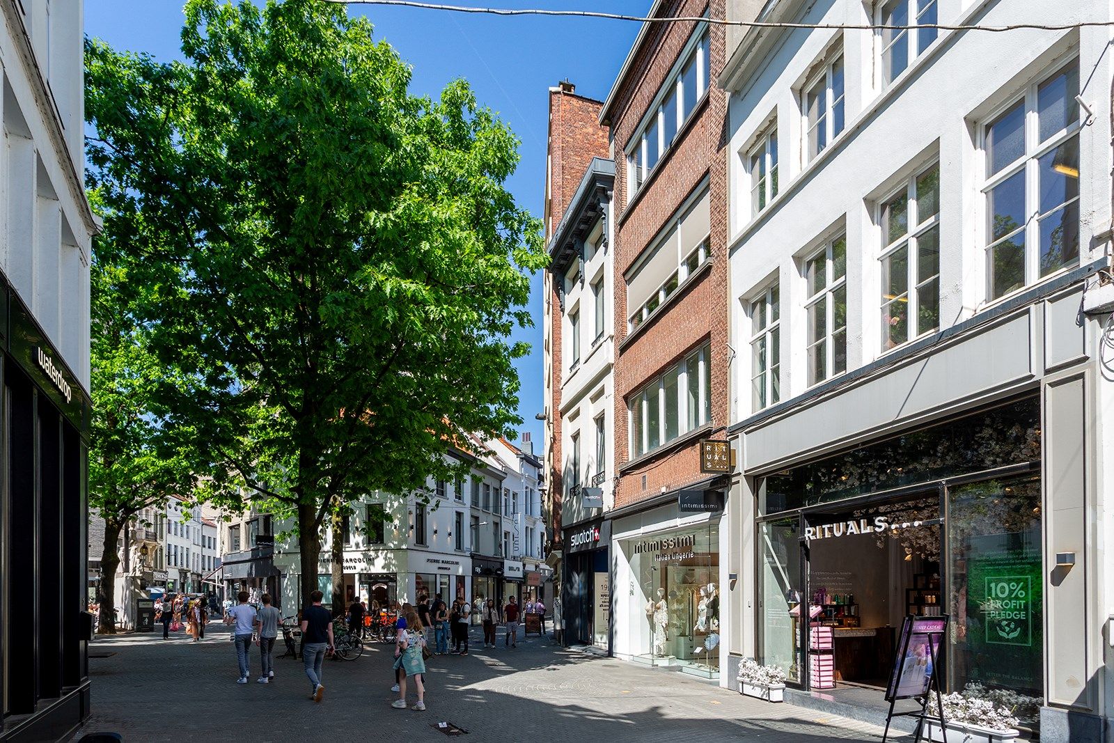 Op te frissen charme voor de stadsmus of investeerder     foto {{pictureIndex}}