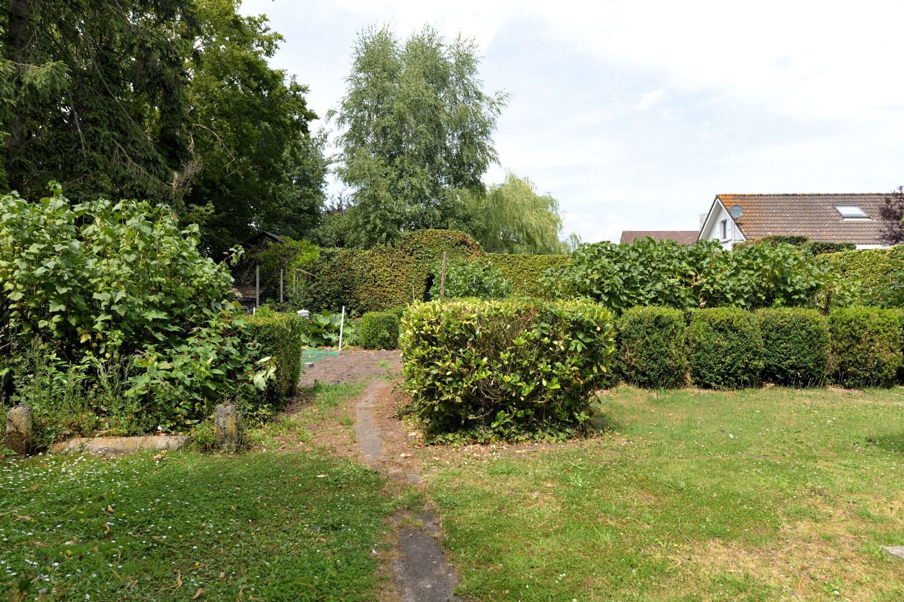 Huis te huur foto 12