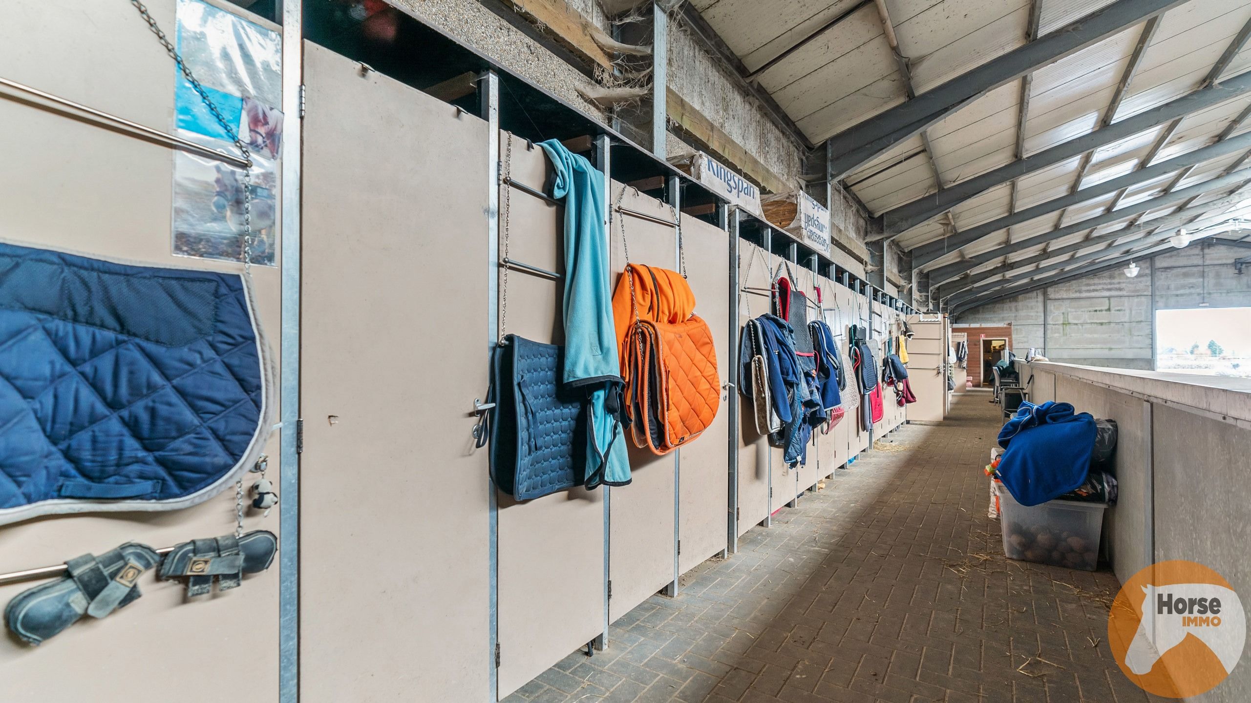 KAMPENHOUT - Professionele paardenaccommodatie op 4ha28 foto 7