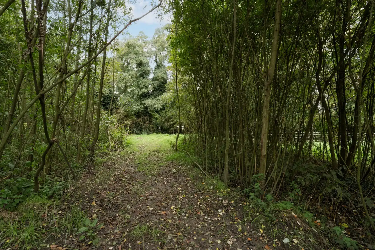 Vrijstaande woning met 5 slk op ruim perceel van 30 are in Pelt foto 39