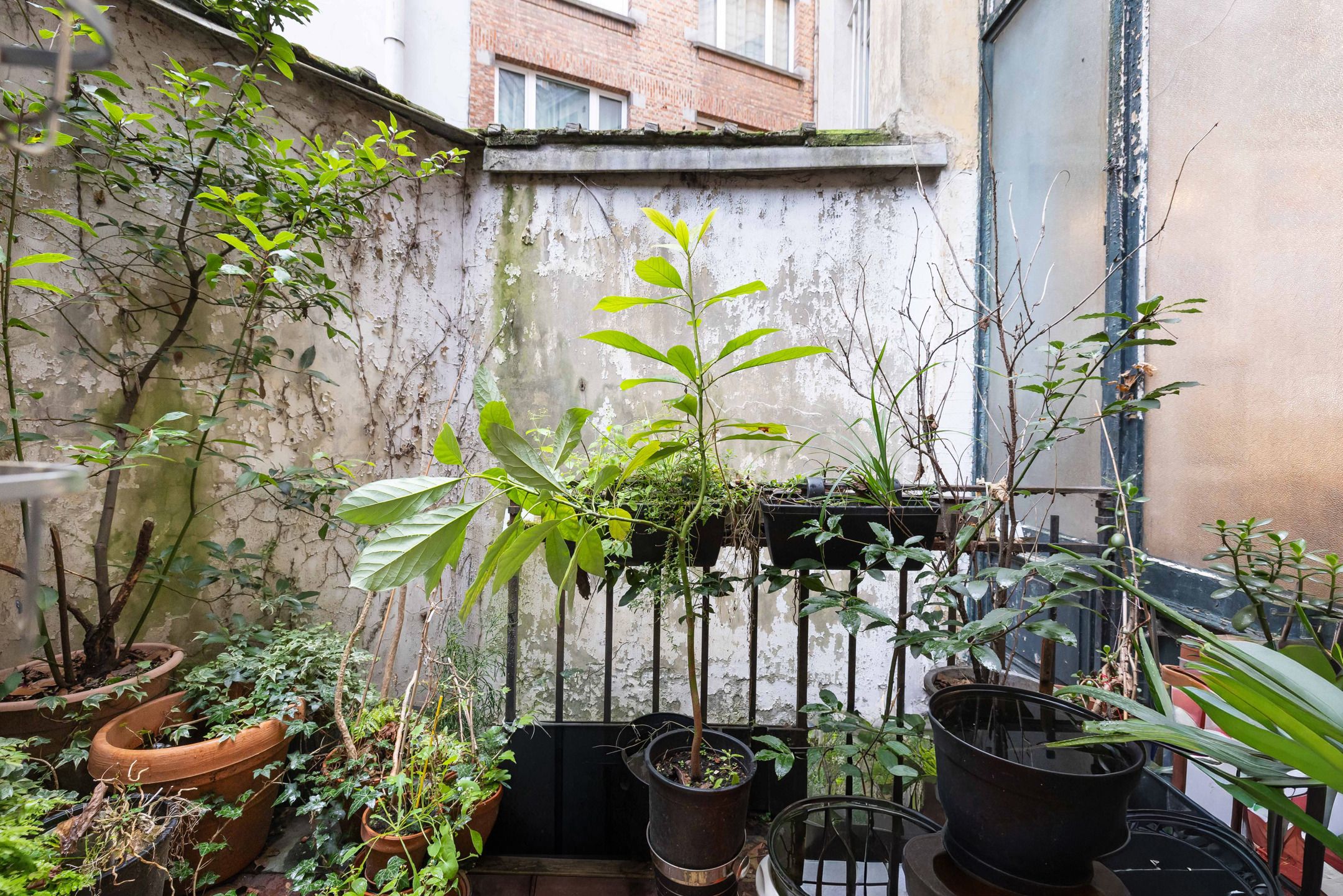 Een woning die Brussel vertelt sinds 1890 foto 14
